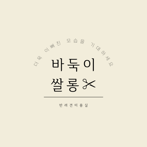 바둑이쌀롱