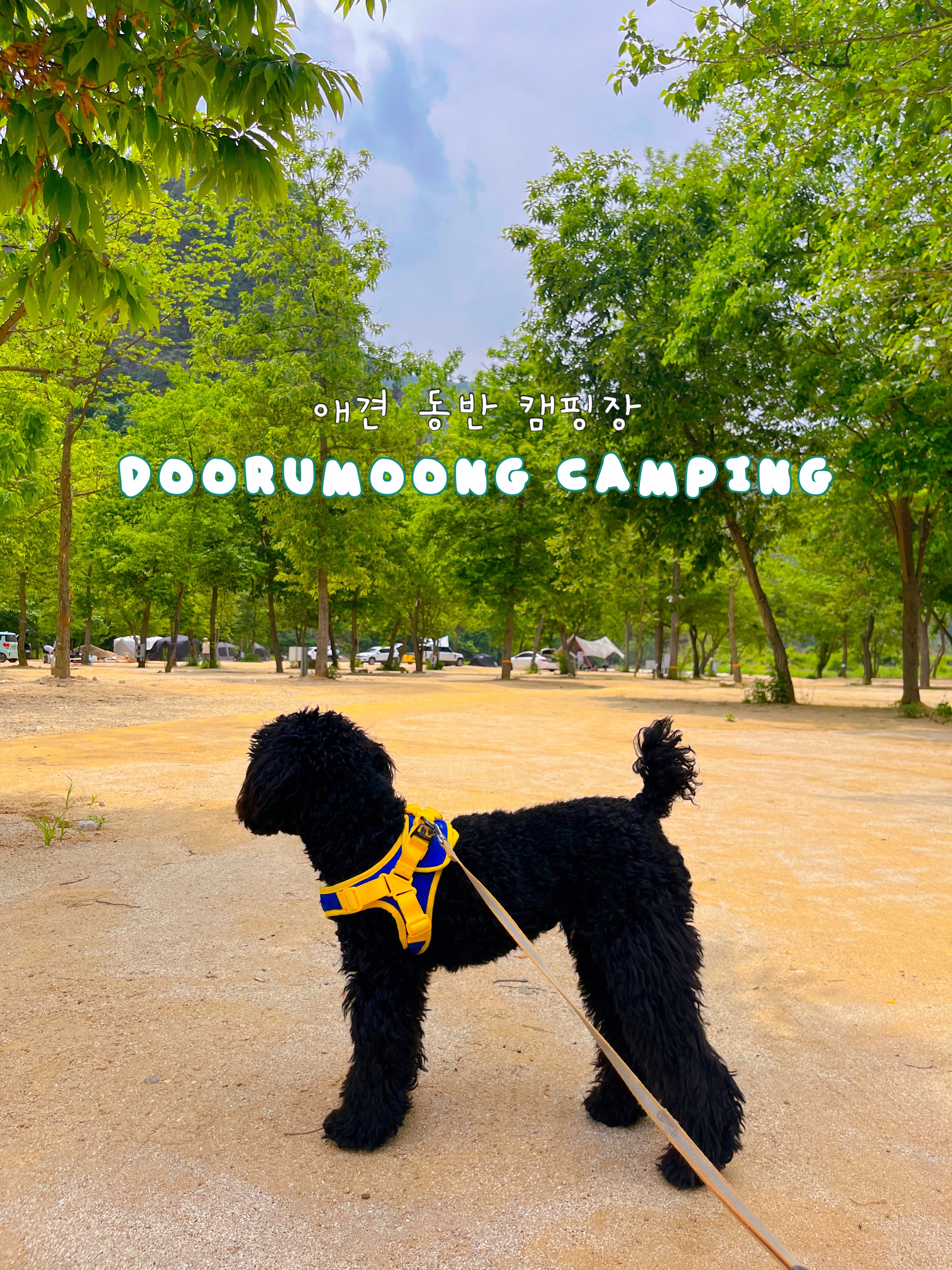 캠핑장 사진