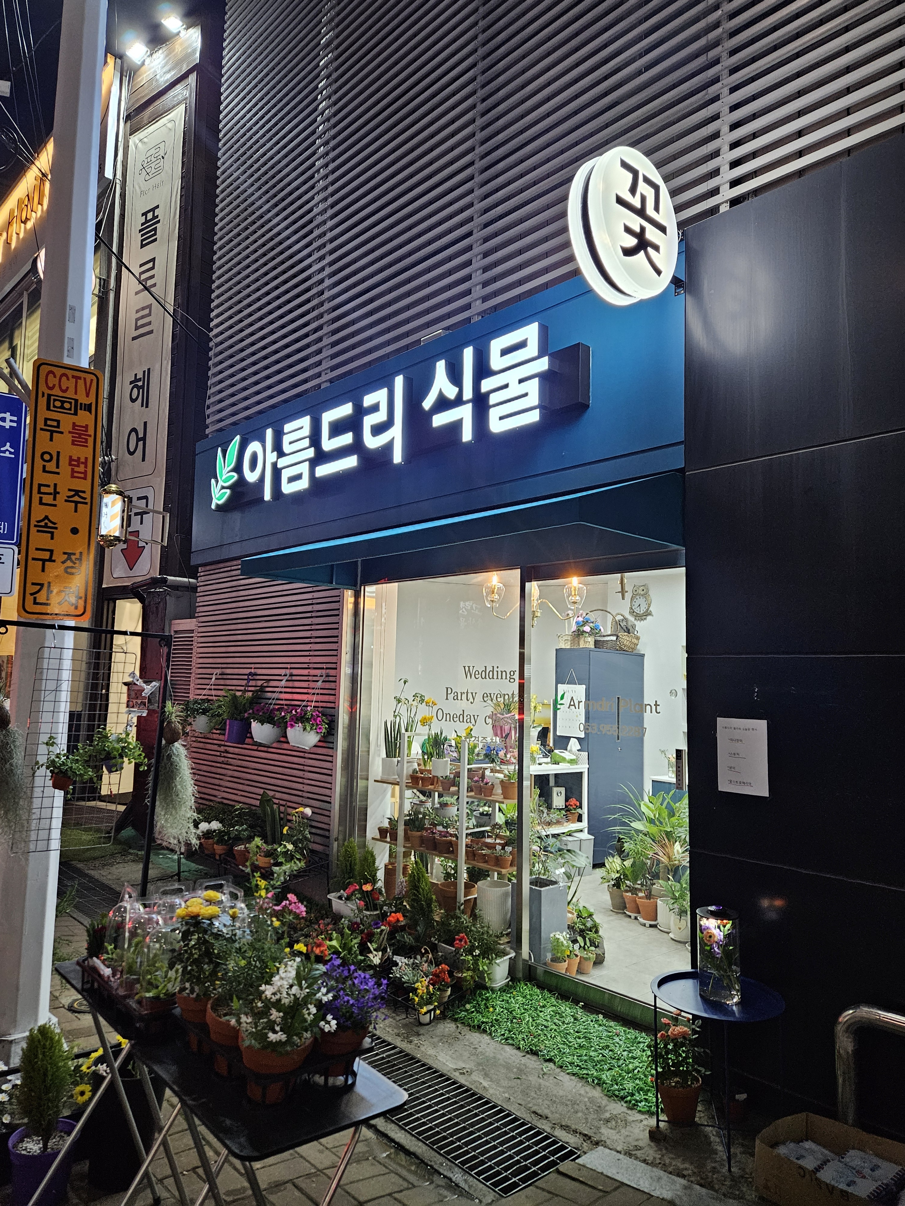 아름드리식물