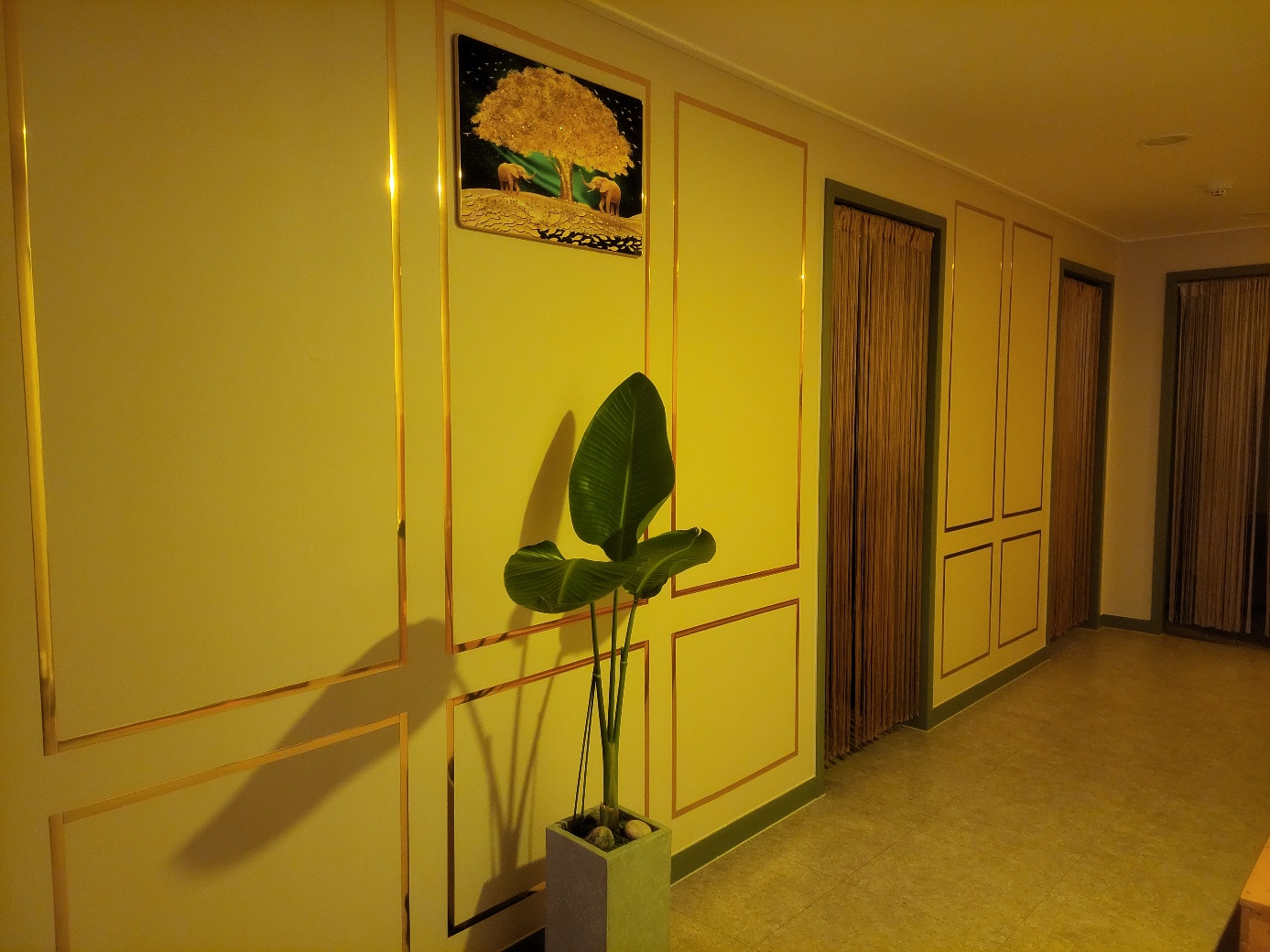 라온 photo 4