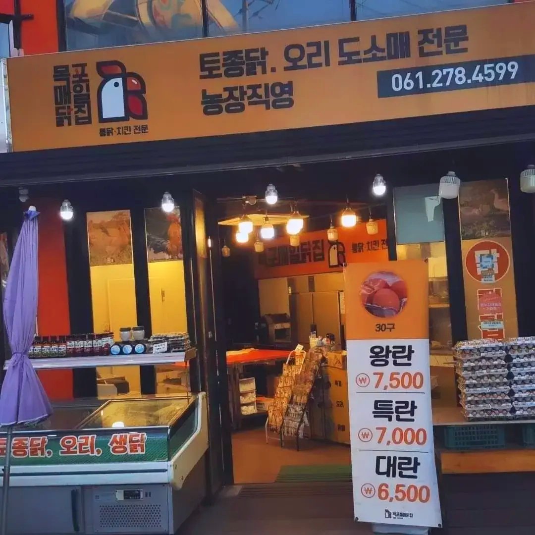 목포매일닭집