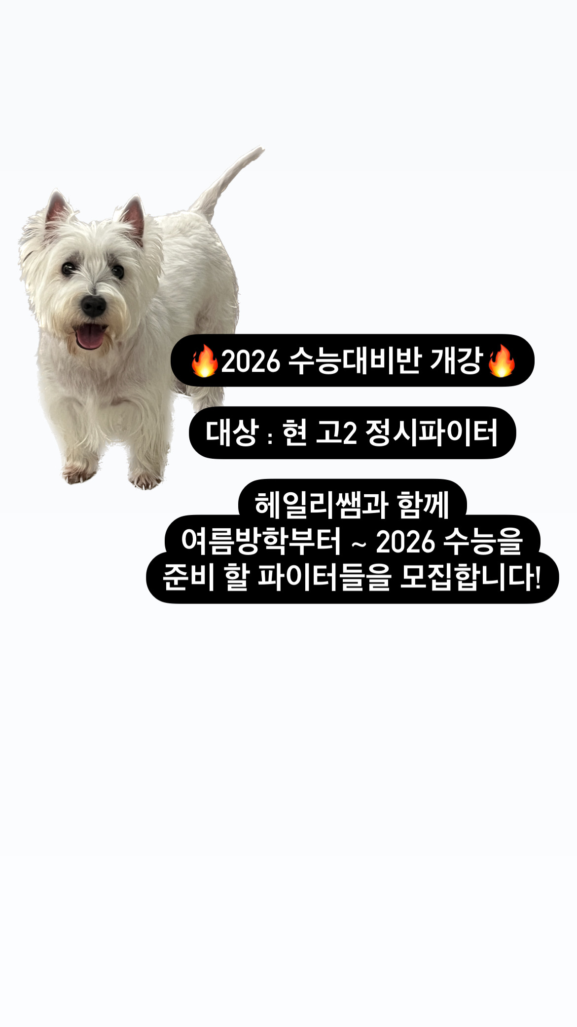 헤일리쌤영어