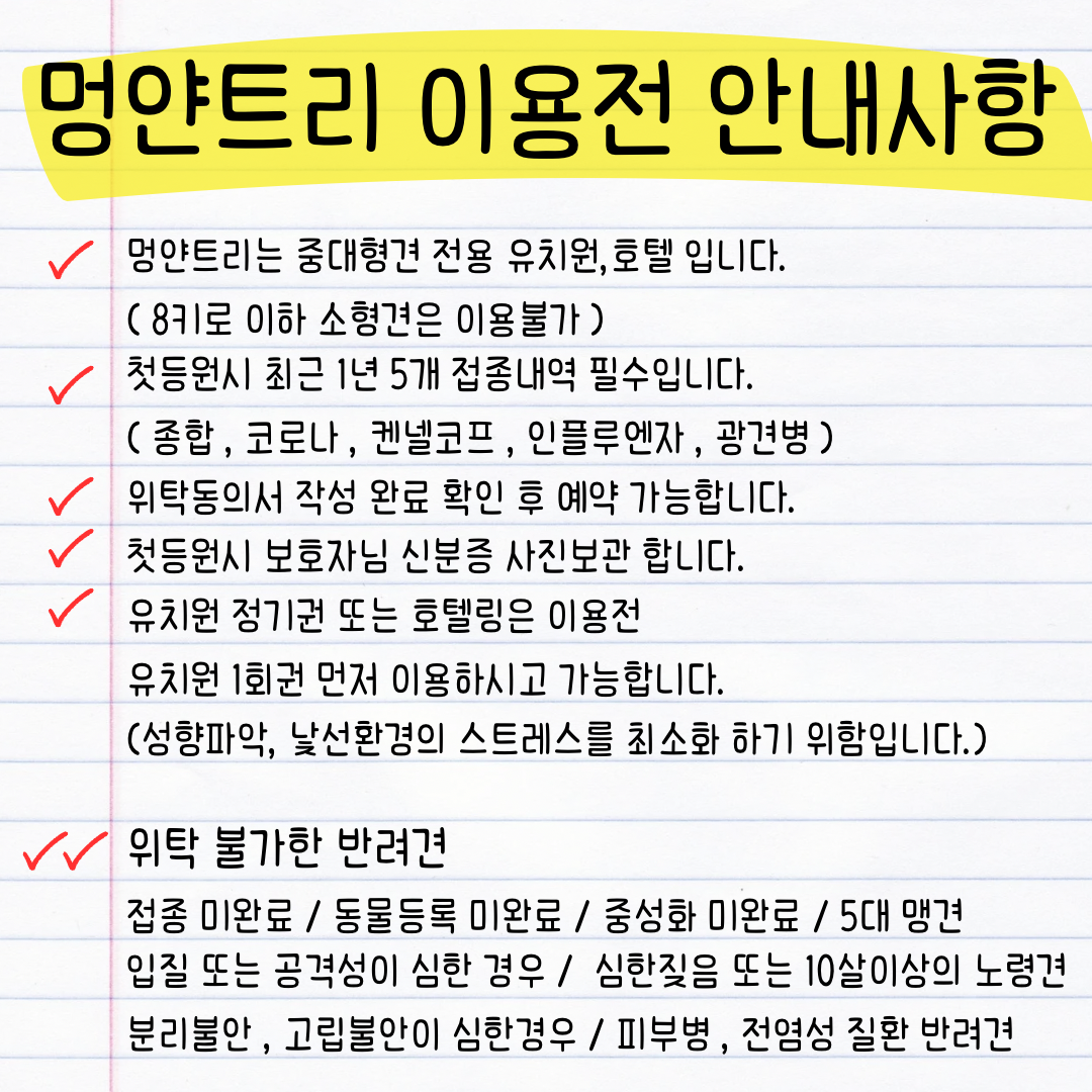 멍얀트리 중대형견 유치원/호텔 대표 이미지