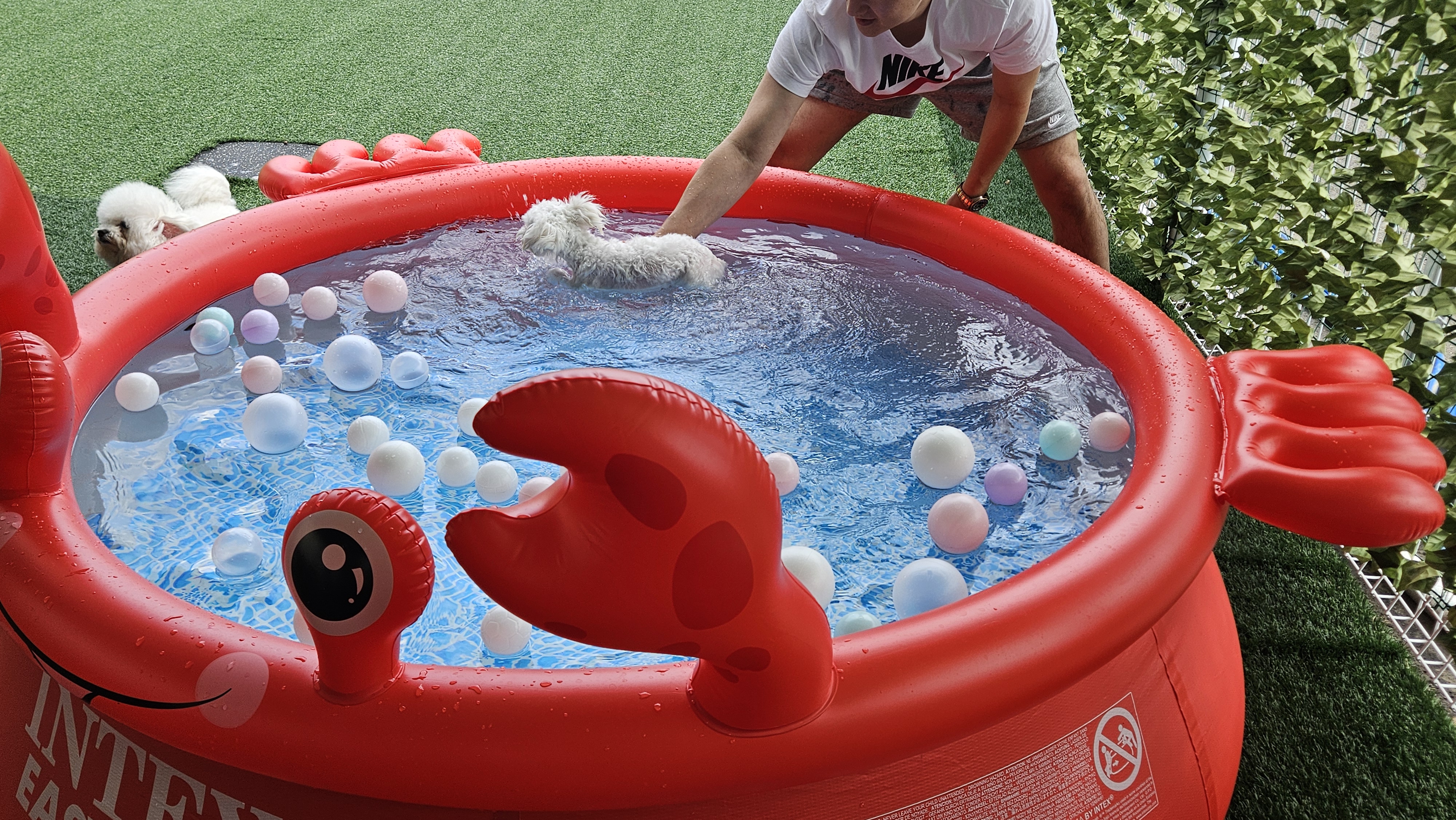 온니담 대표 이미지