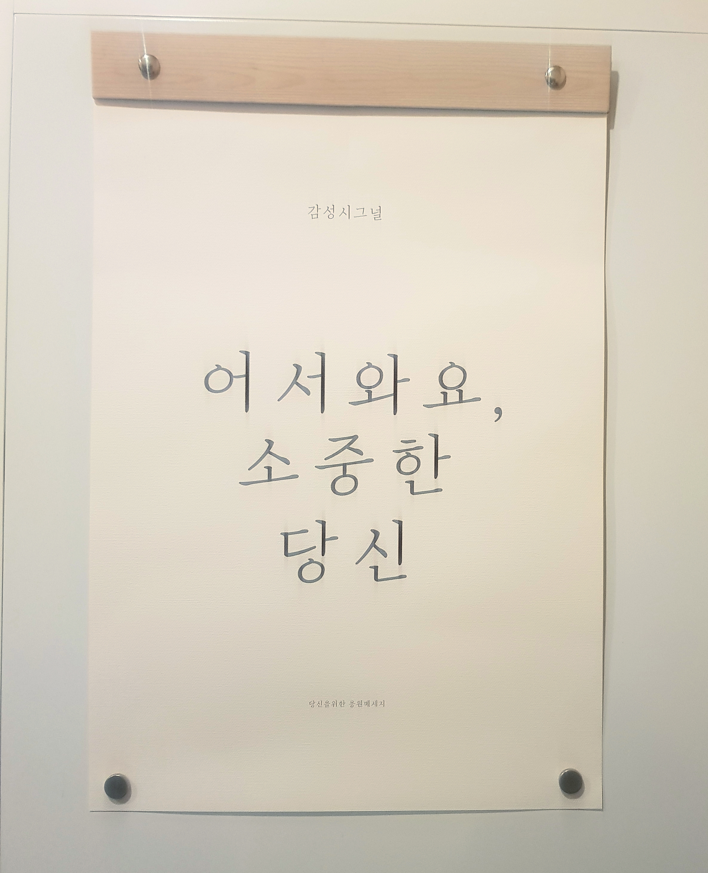 속초맥주 4