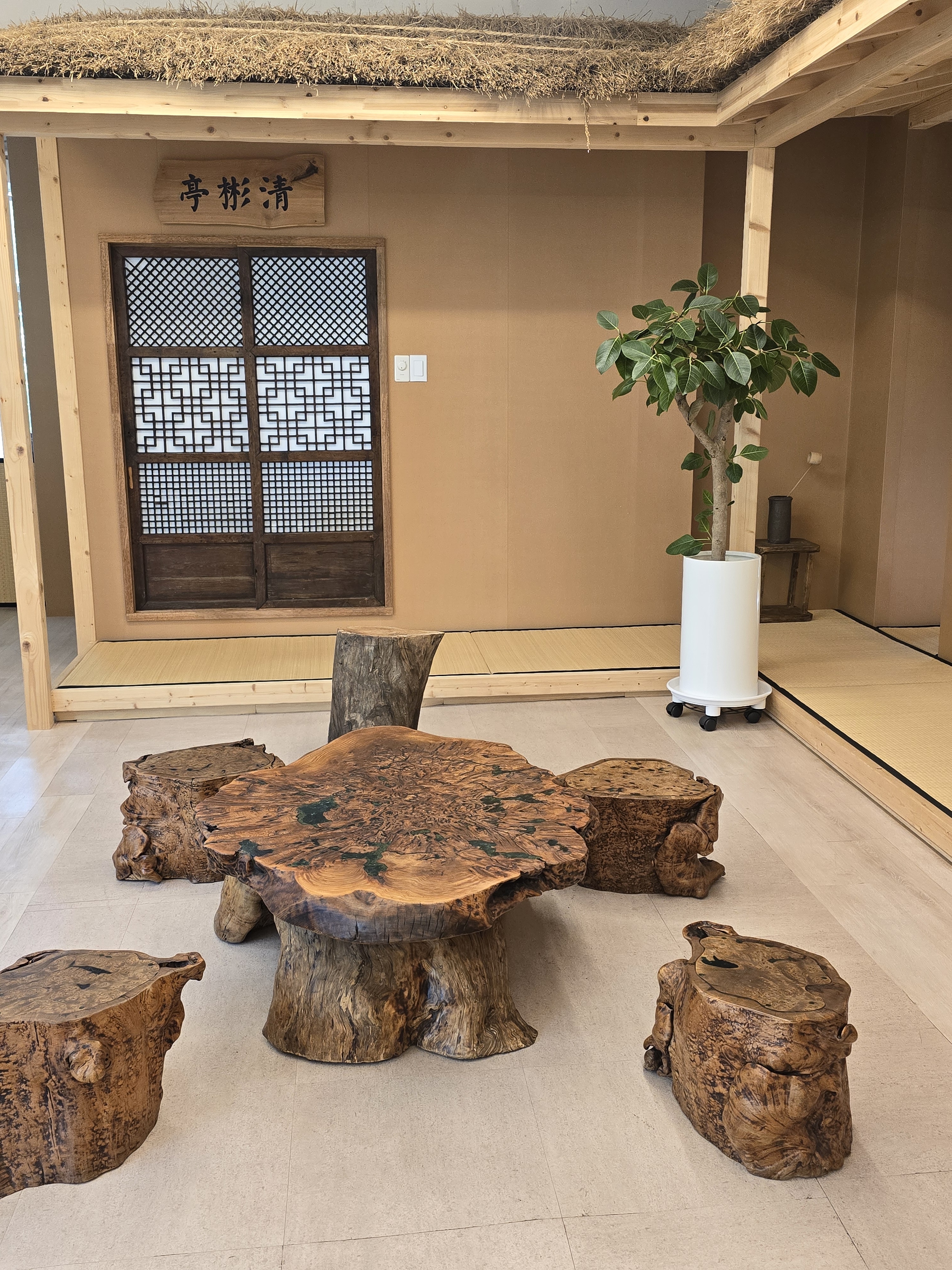 뉴비본 청담점 photo 9
