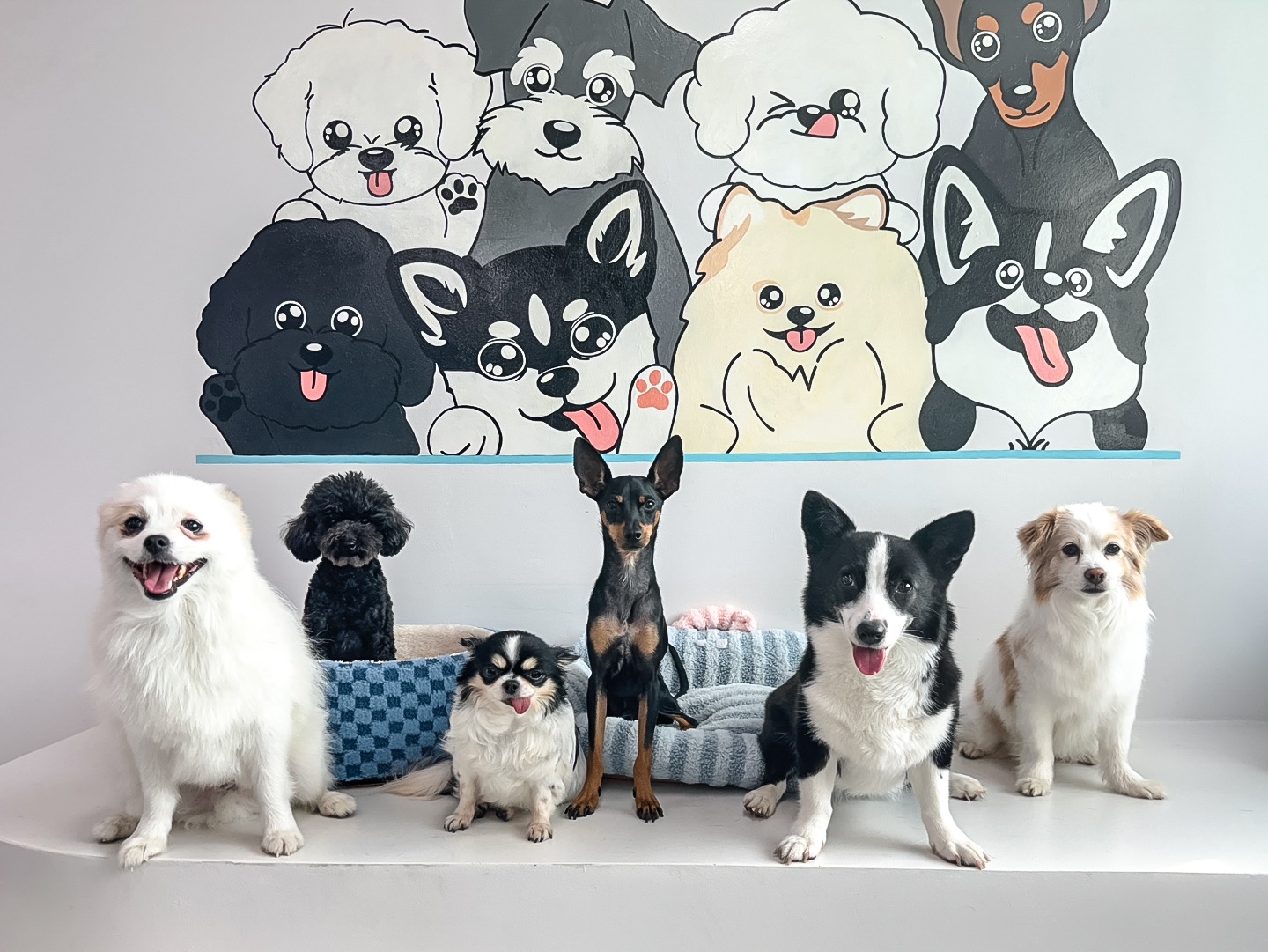 멍타쿠 대표 이미지