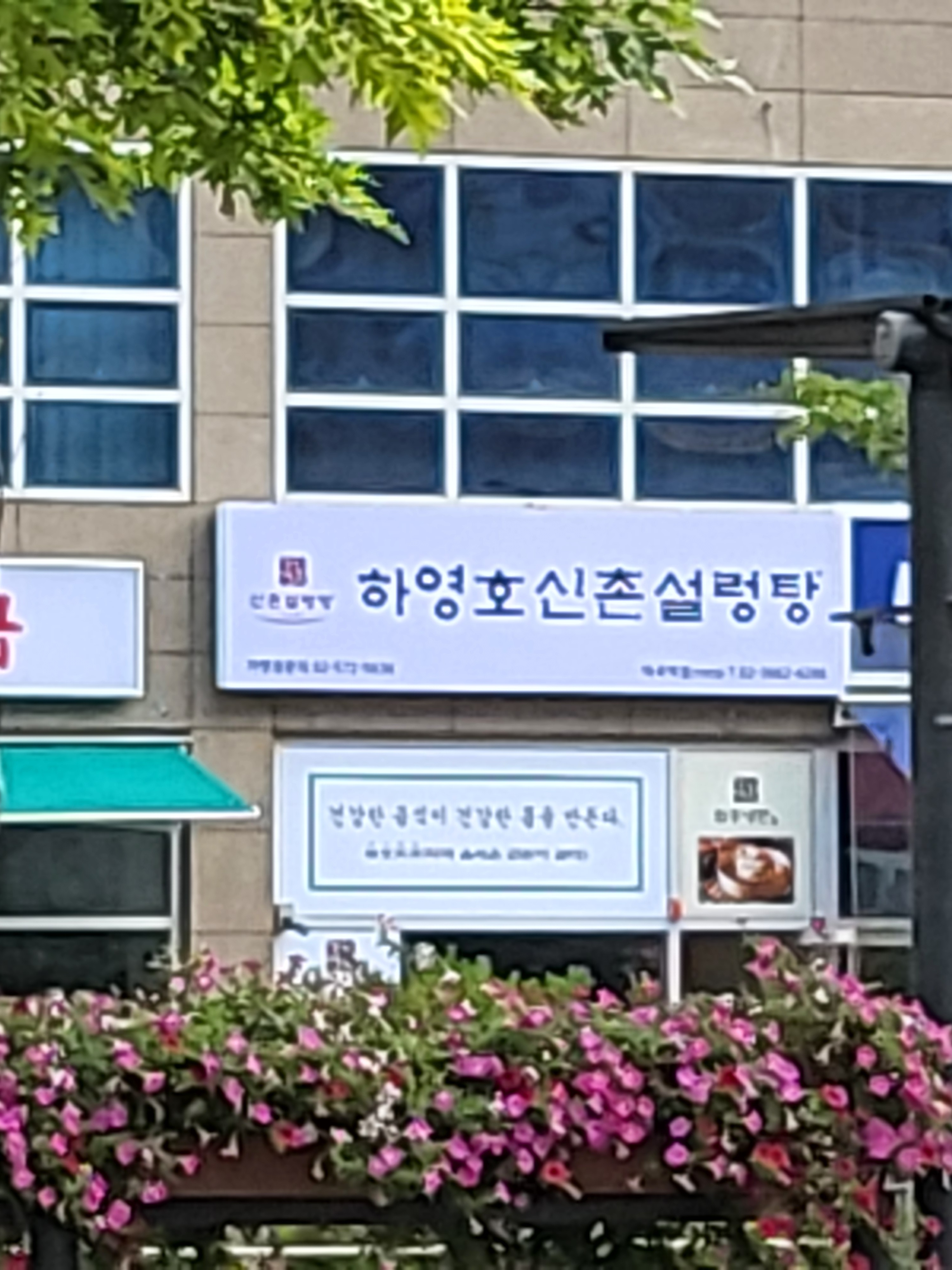 하영호신촌설렁탕 마곡점