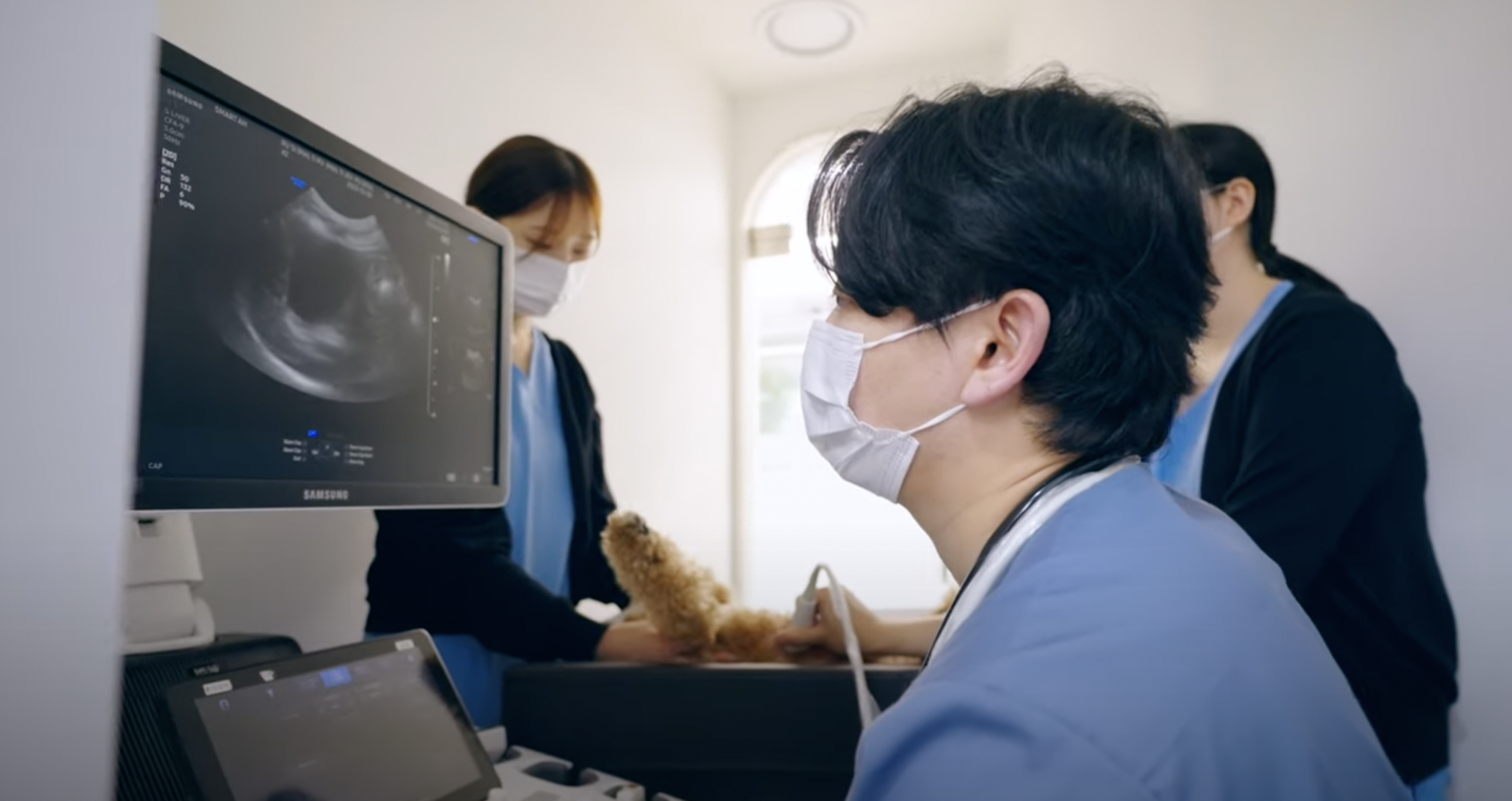 상암 진 동물의료센터 대표 이미지