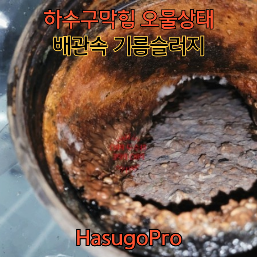 하수구막힘 변기봉수파괴 변기물빠짐 오수관막힘