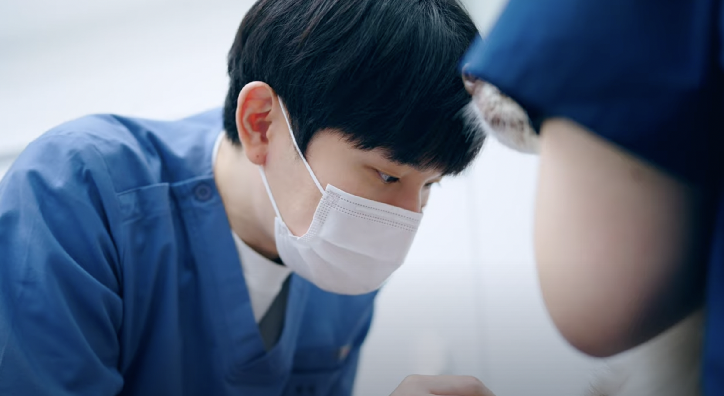 상암 진 동물의료센터 대표 이미지