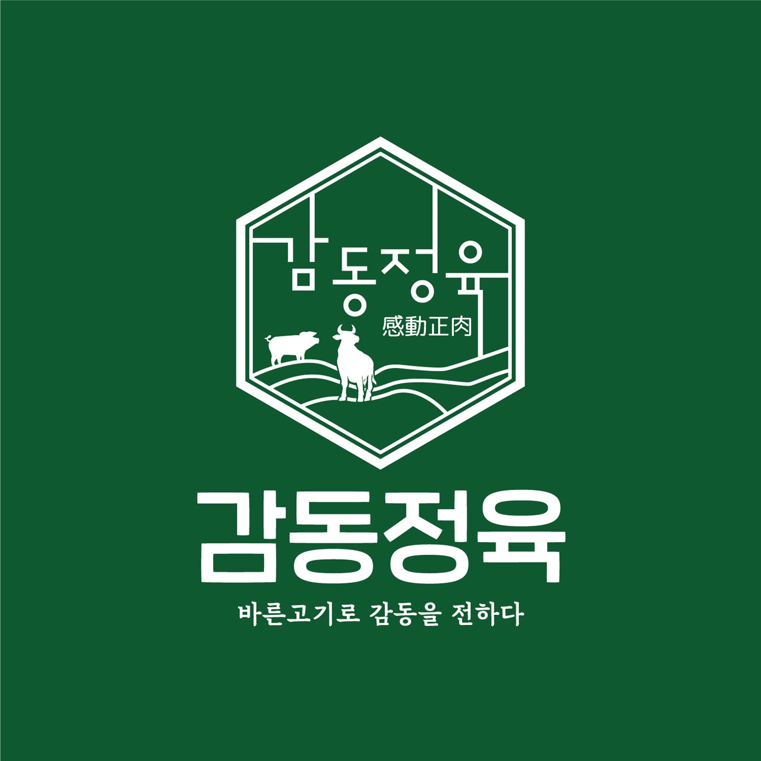 감동정육