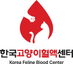 한국고양이혈액센터 내부 또는 관련 모습