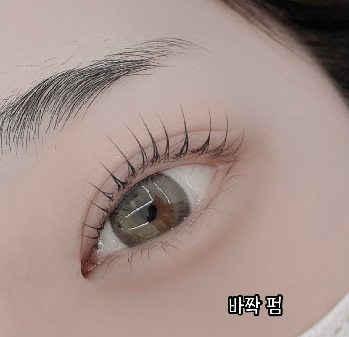 내내어여쁘리