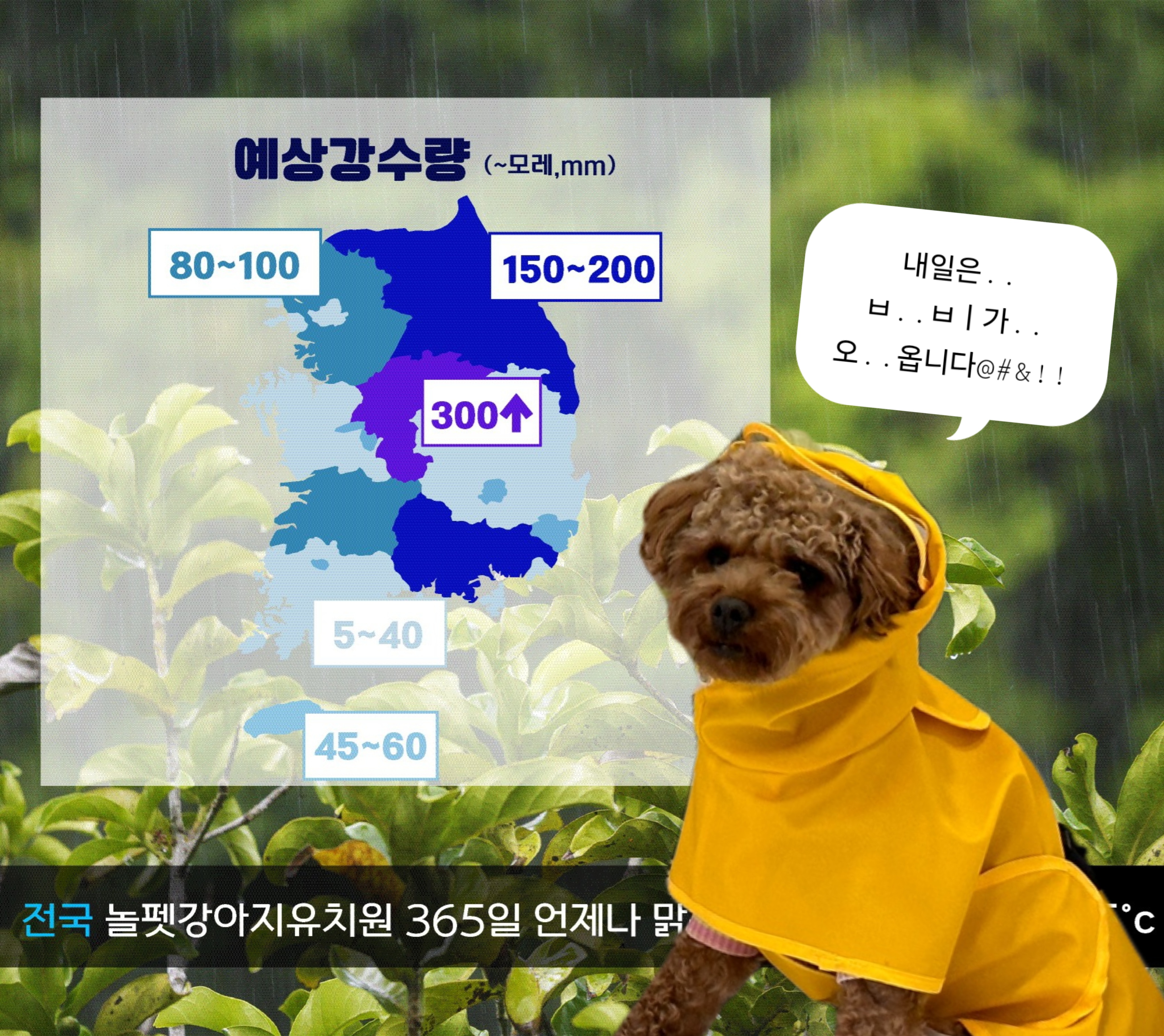 놀펫 성북본원 대표 이미지