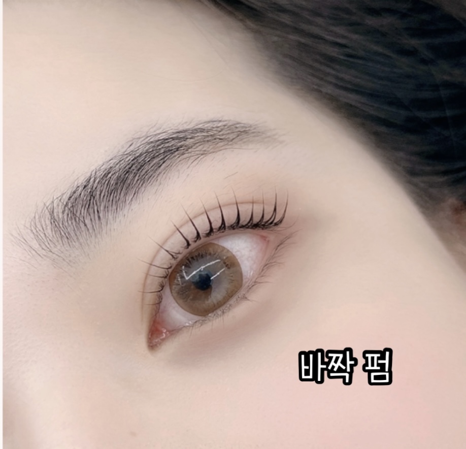 내내어여쁘리