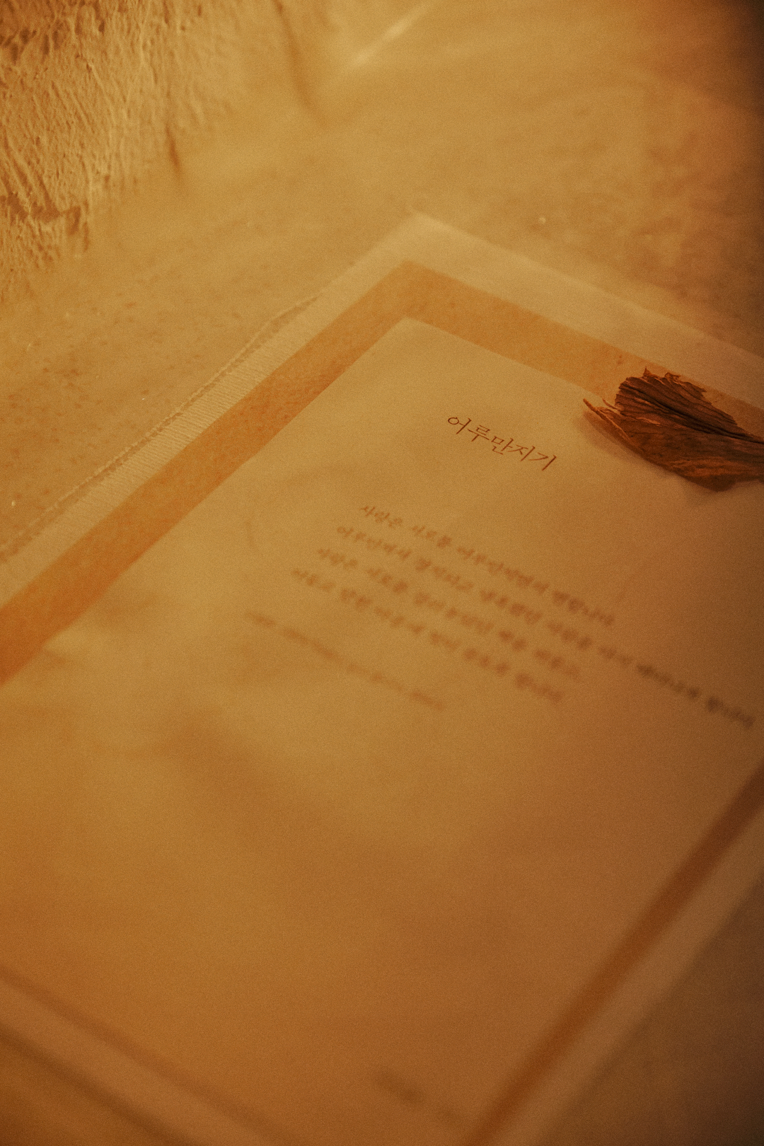 어루 photo 3