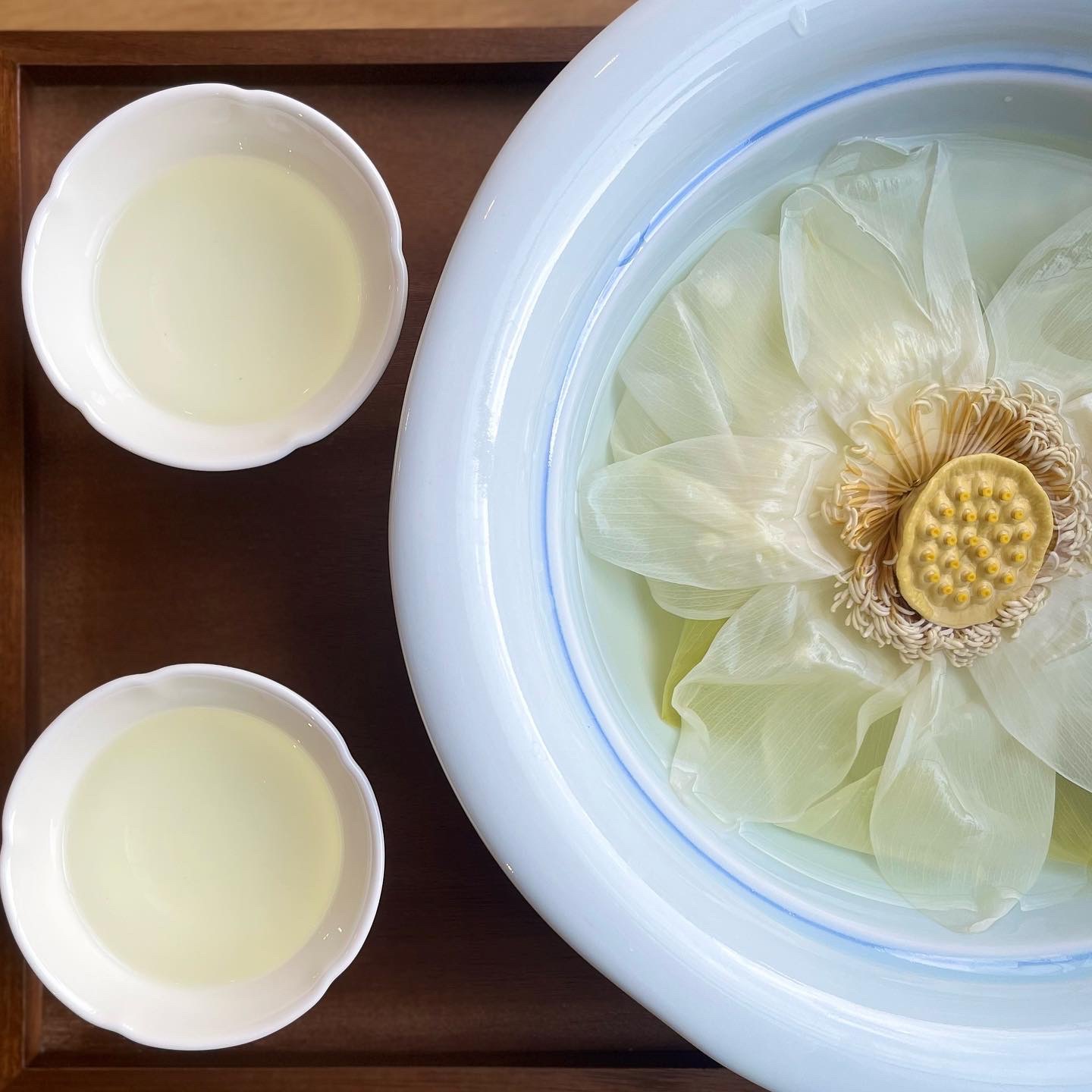 MAd.ma | 경기 과천시 단팥죽맛집 단팥죽 전문점 방문해 보세요 차 너른