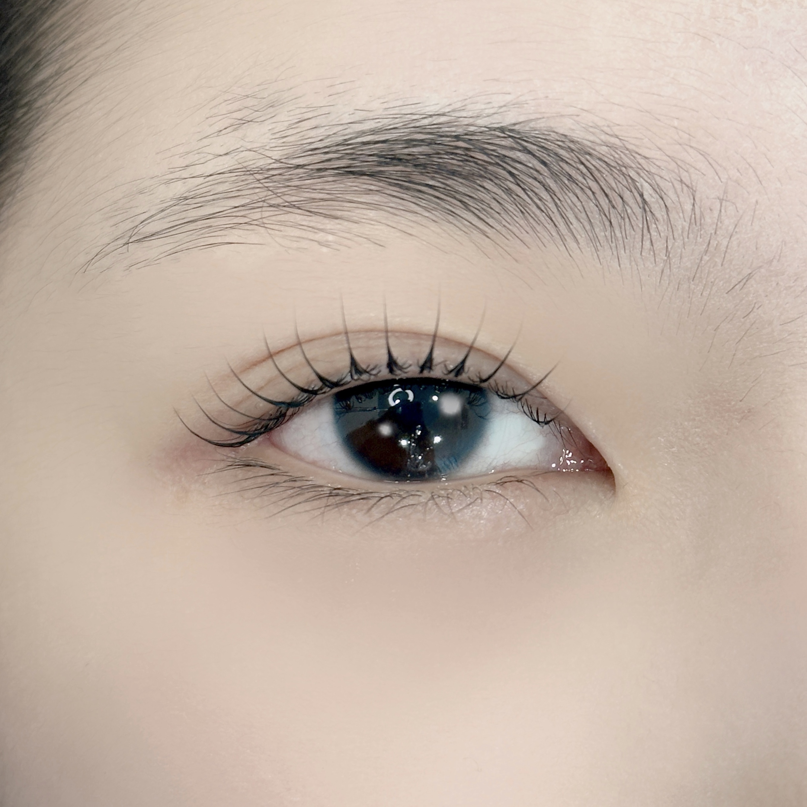 베이지브로우 양주옥정점