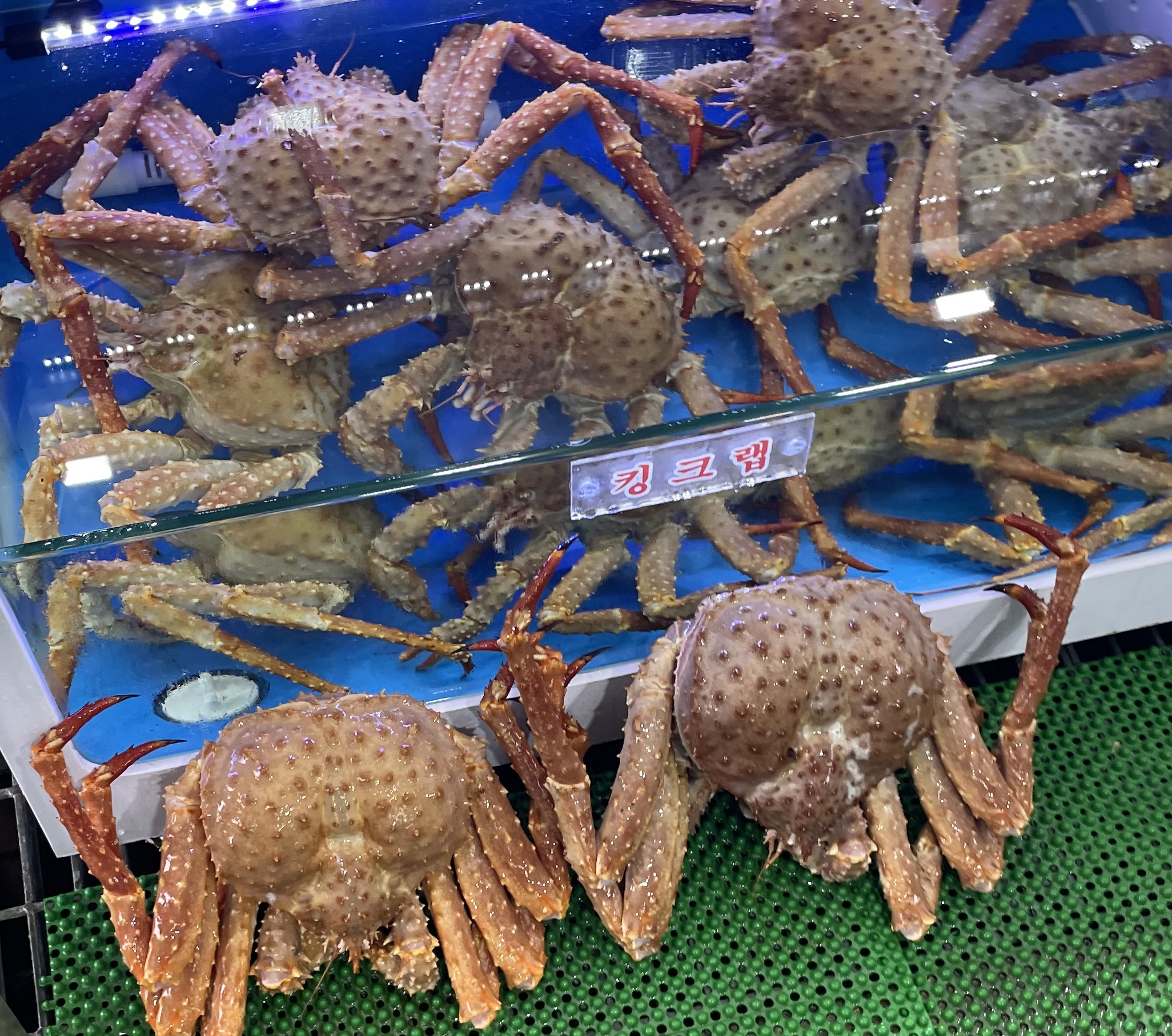 파도횟집 6