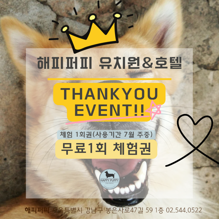 해피퍼피
