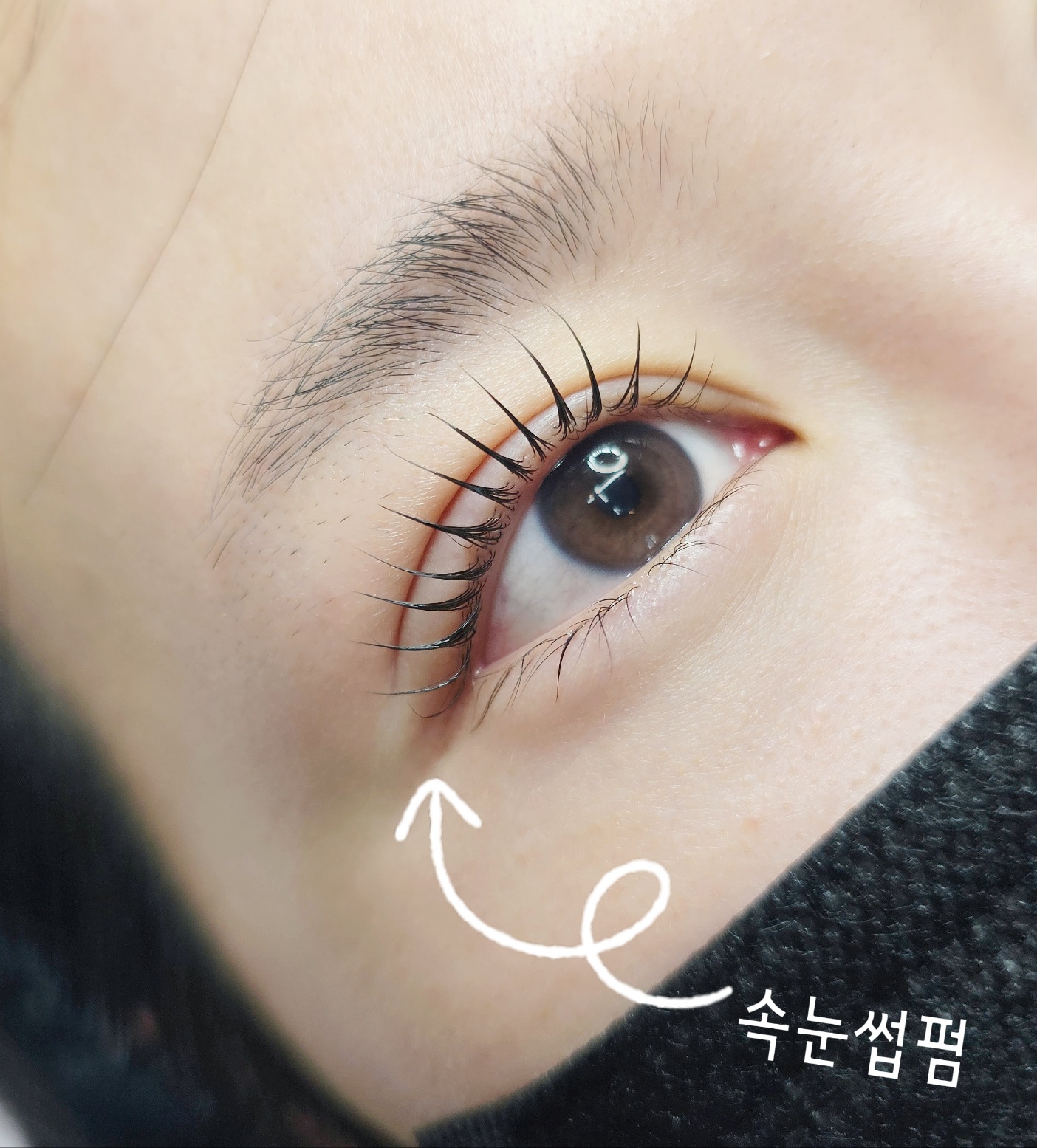 인생뷰티 눈썹&속눈썹