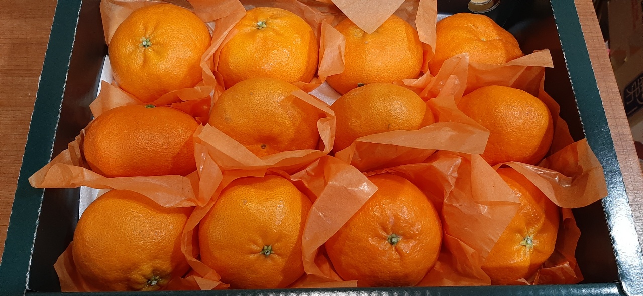 생기나라한의원 대표 이미지