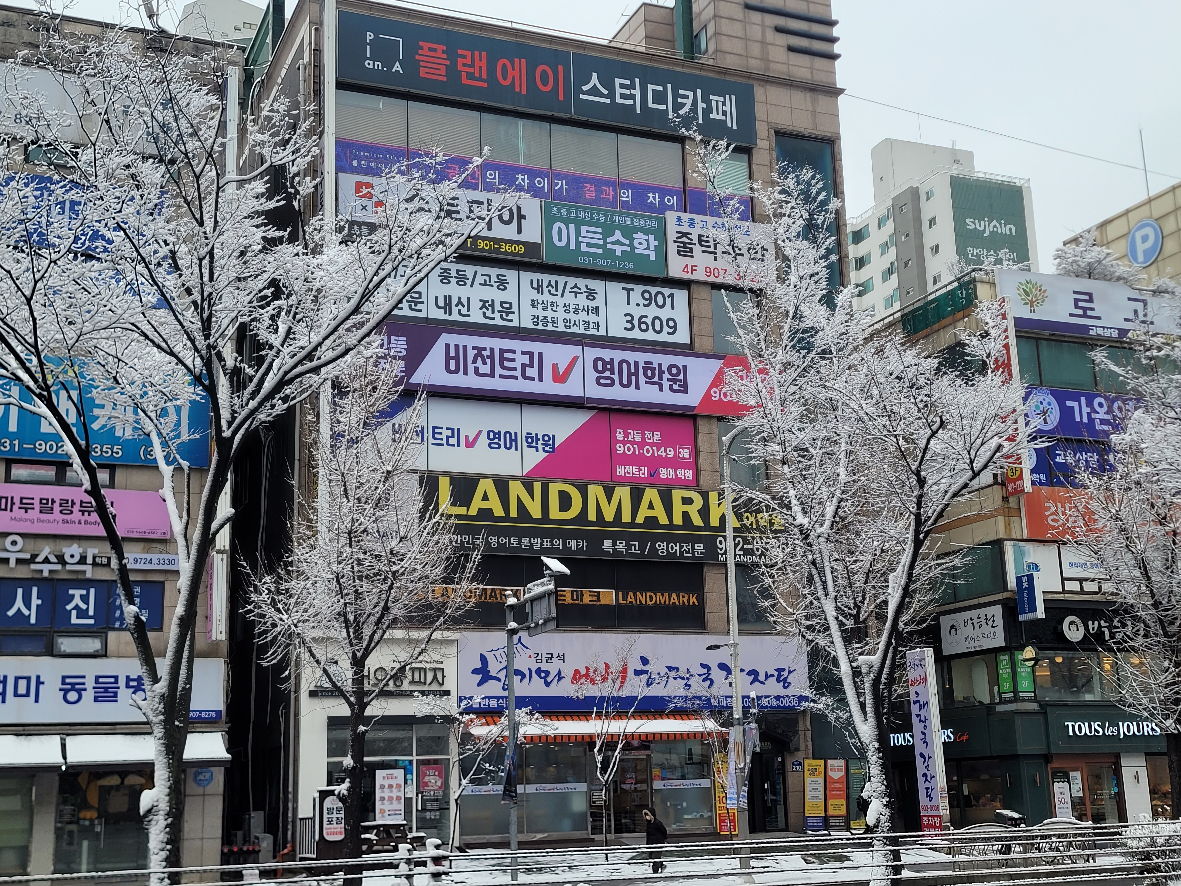 비전트리영어학원