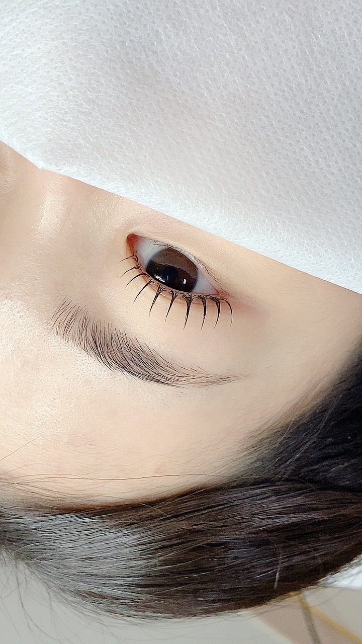 카페보니떼 2