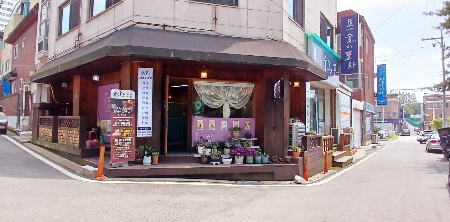 하람.사주/타로