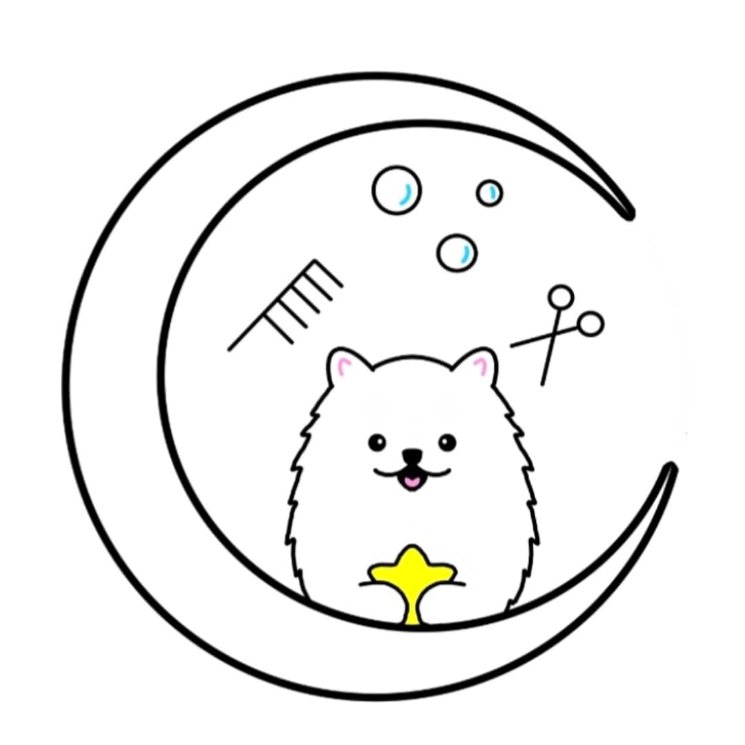 샤인멍 대표 이미지