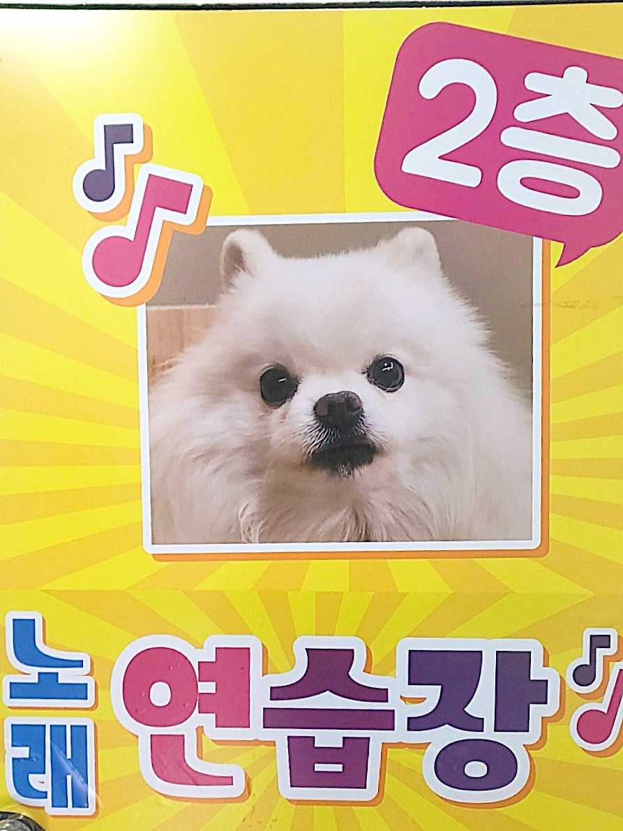 슈슈노래연습장