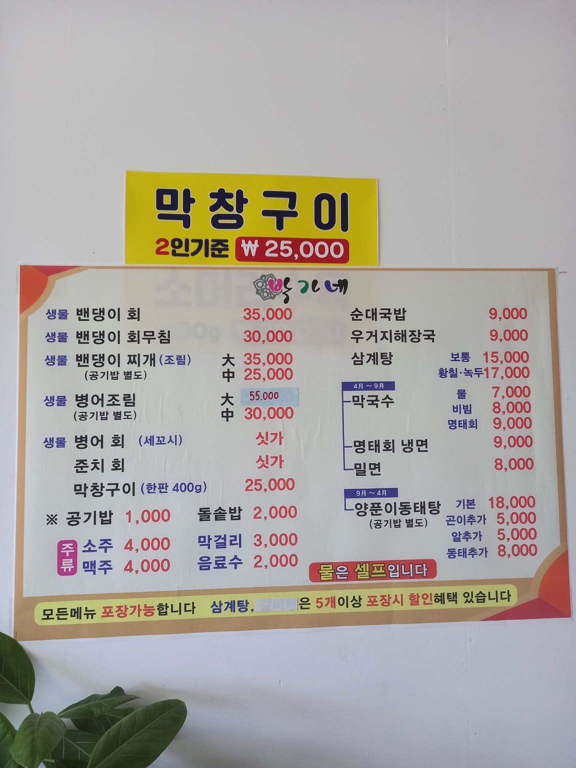 본가박가네