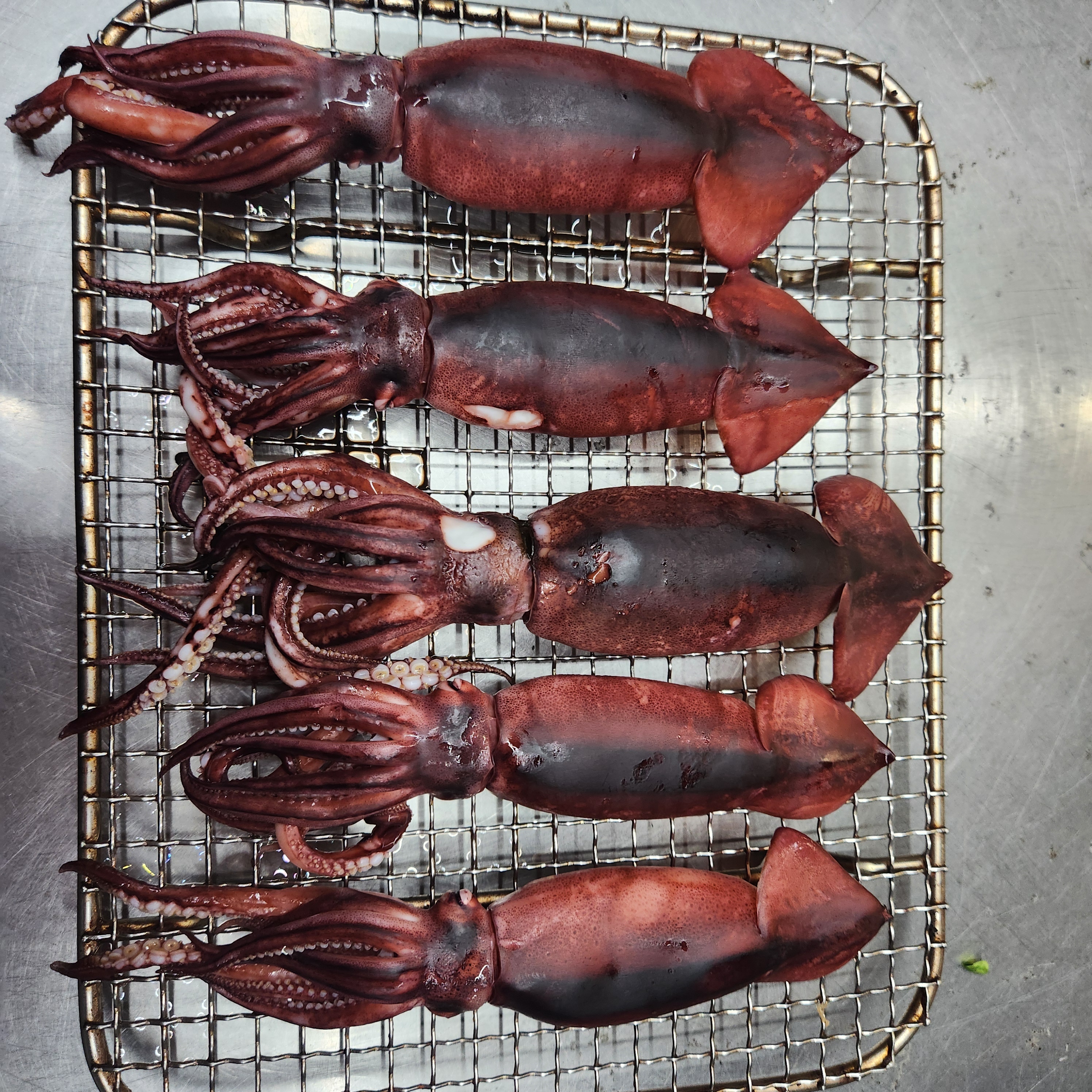 밥이야술이야