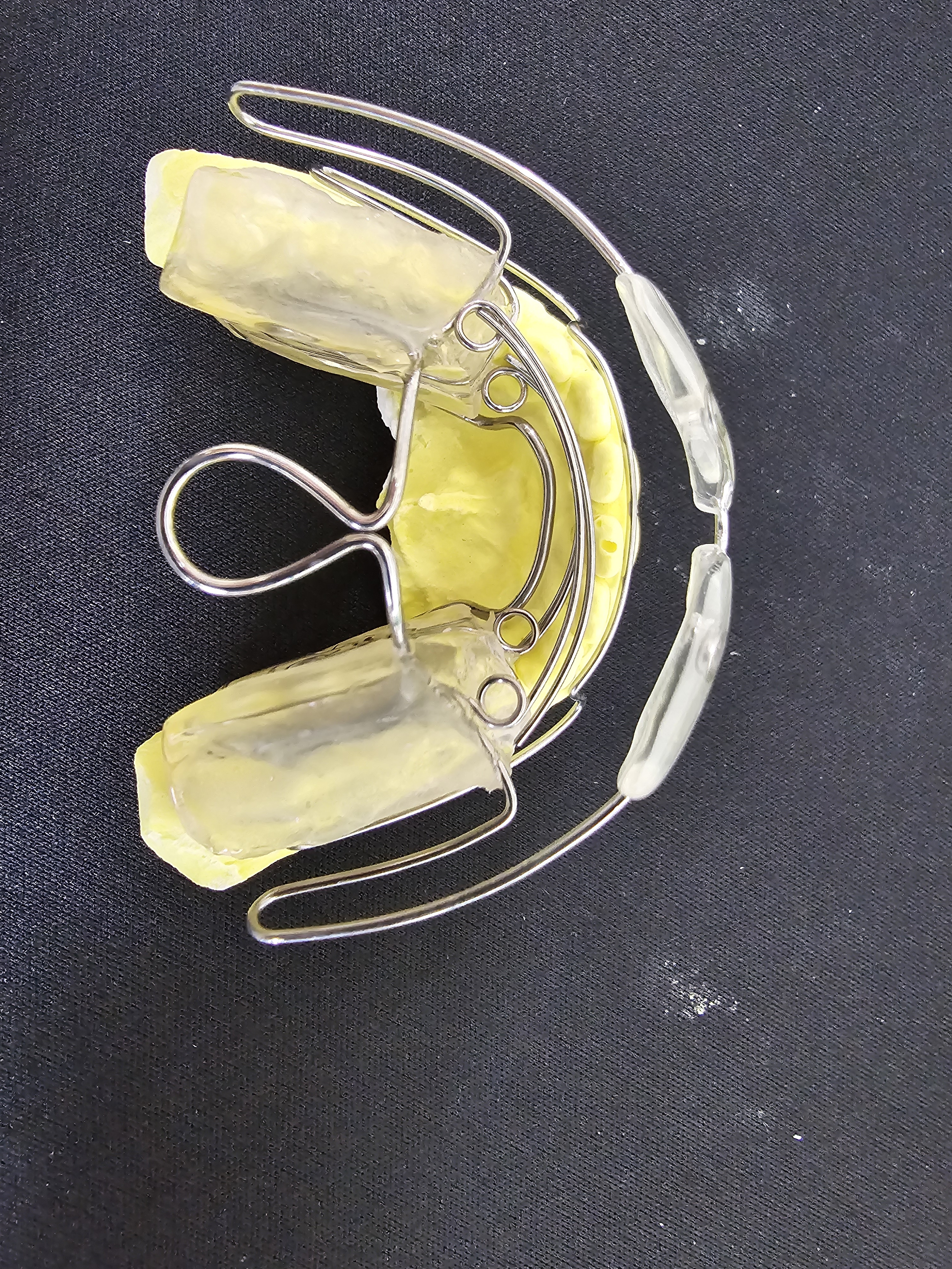 새로이교정치과기공소 대표 이미지