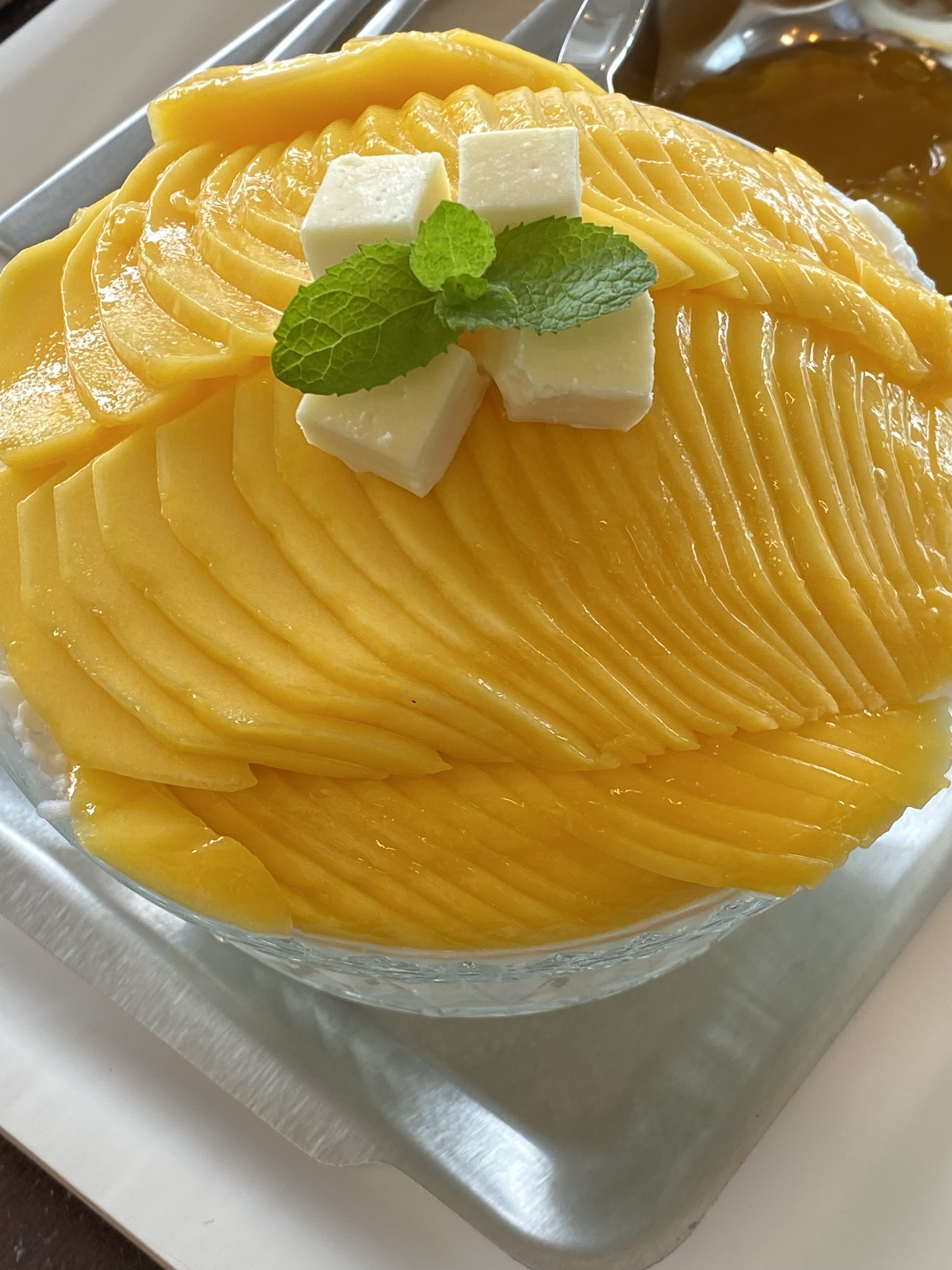 카페드하리