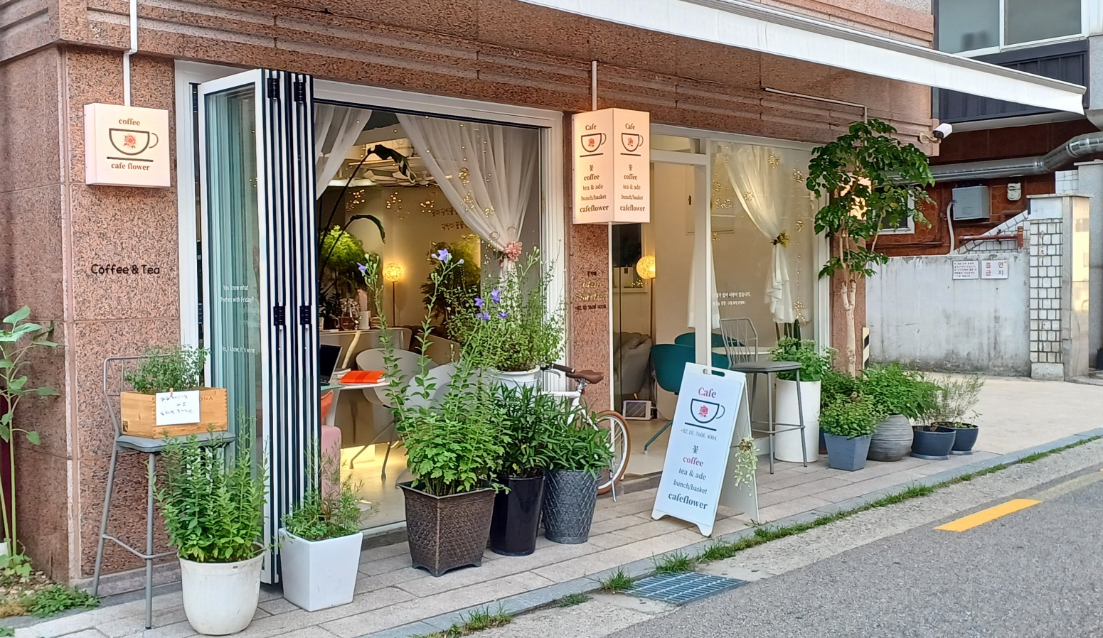 카페 꽃 반려동물 동반 애견카페