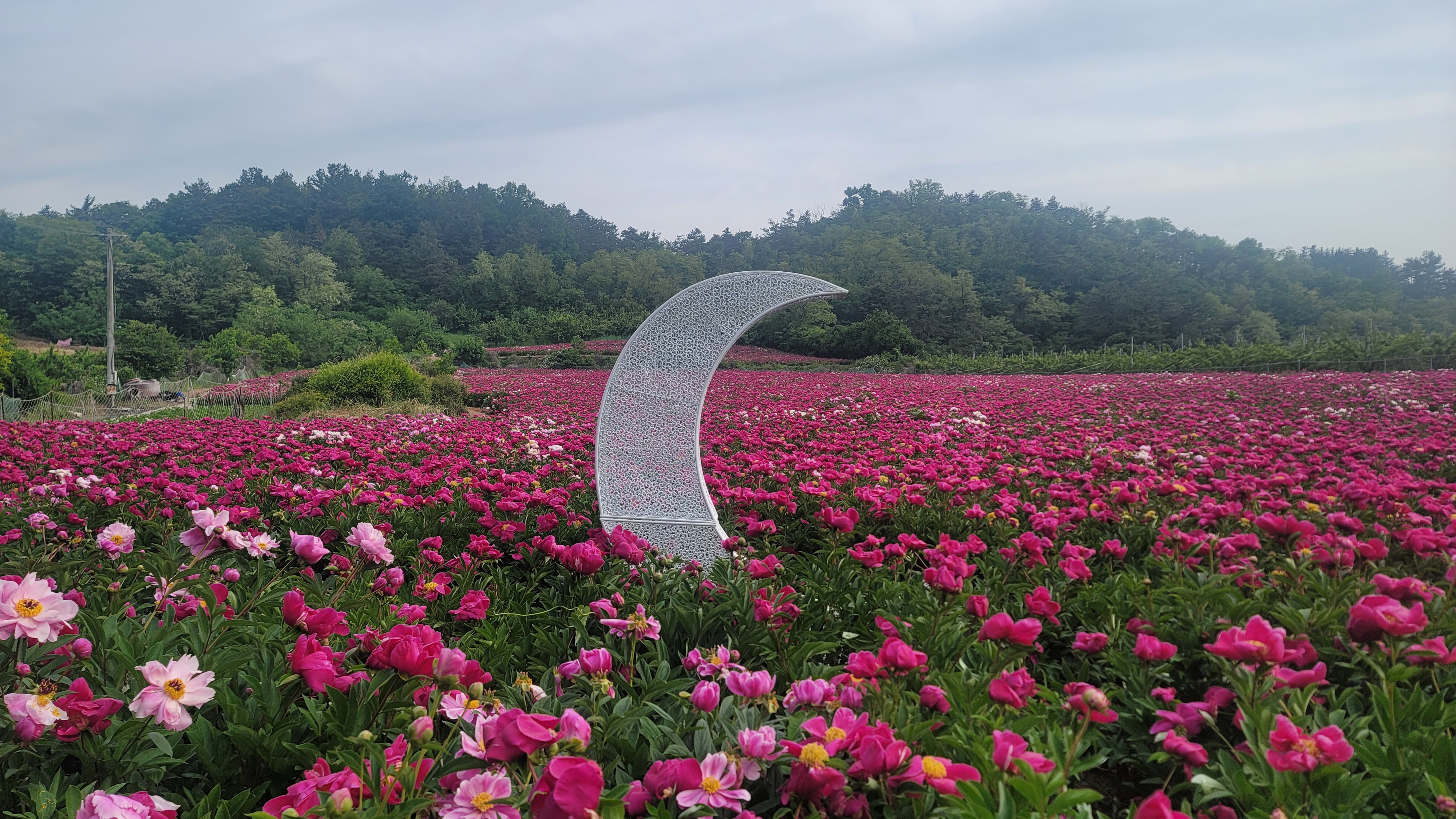 광명약초농원