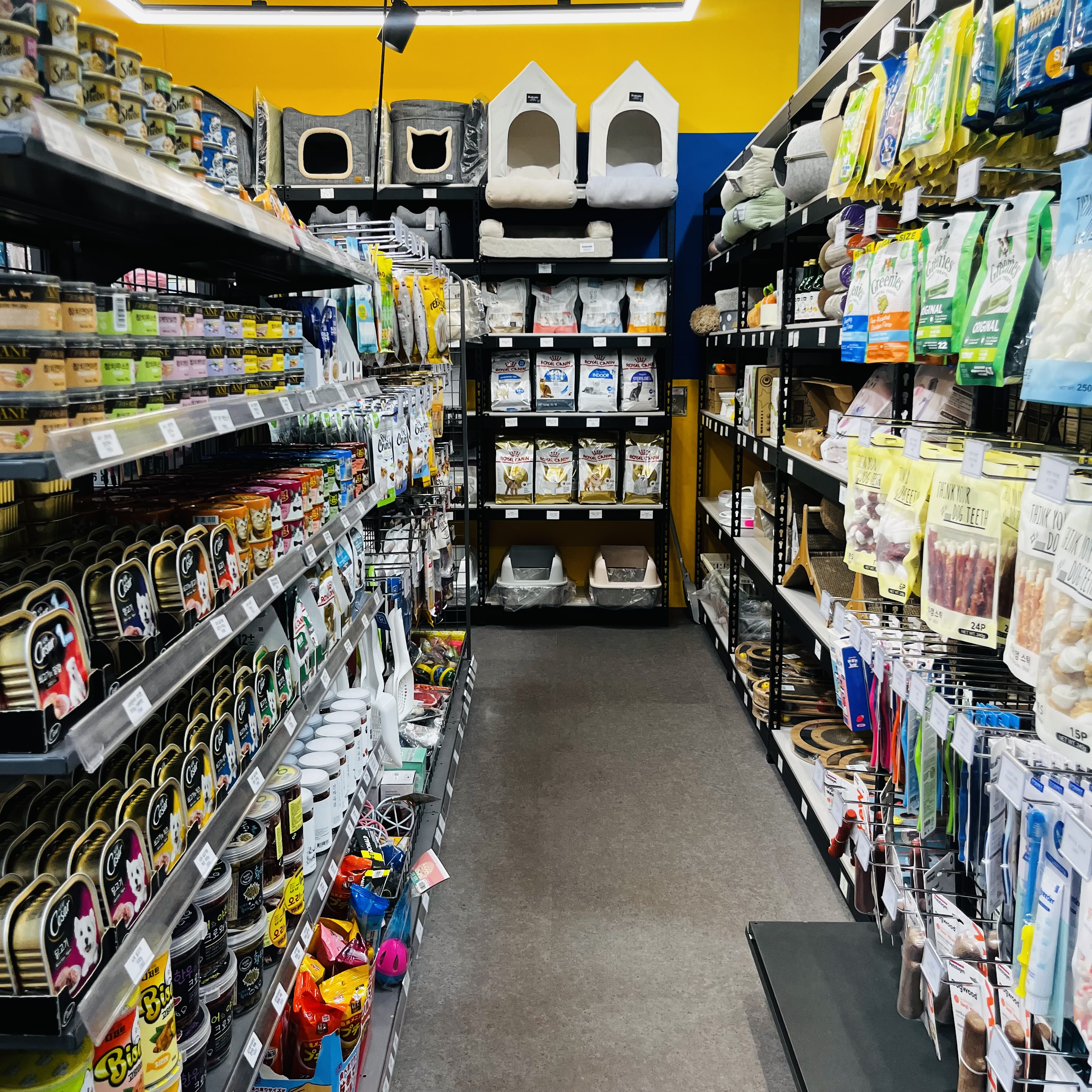 멍냥타운 대표 이미지