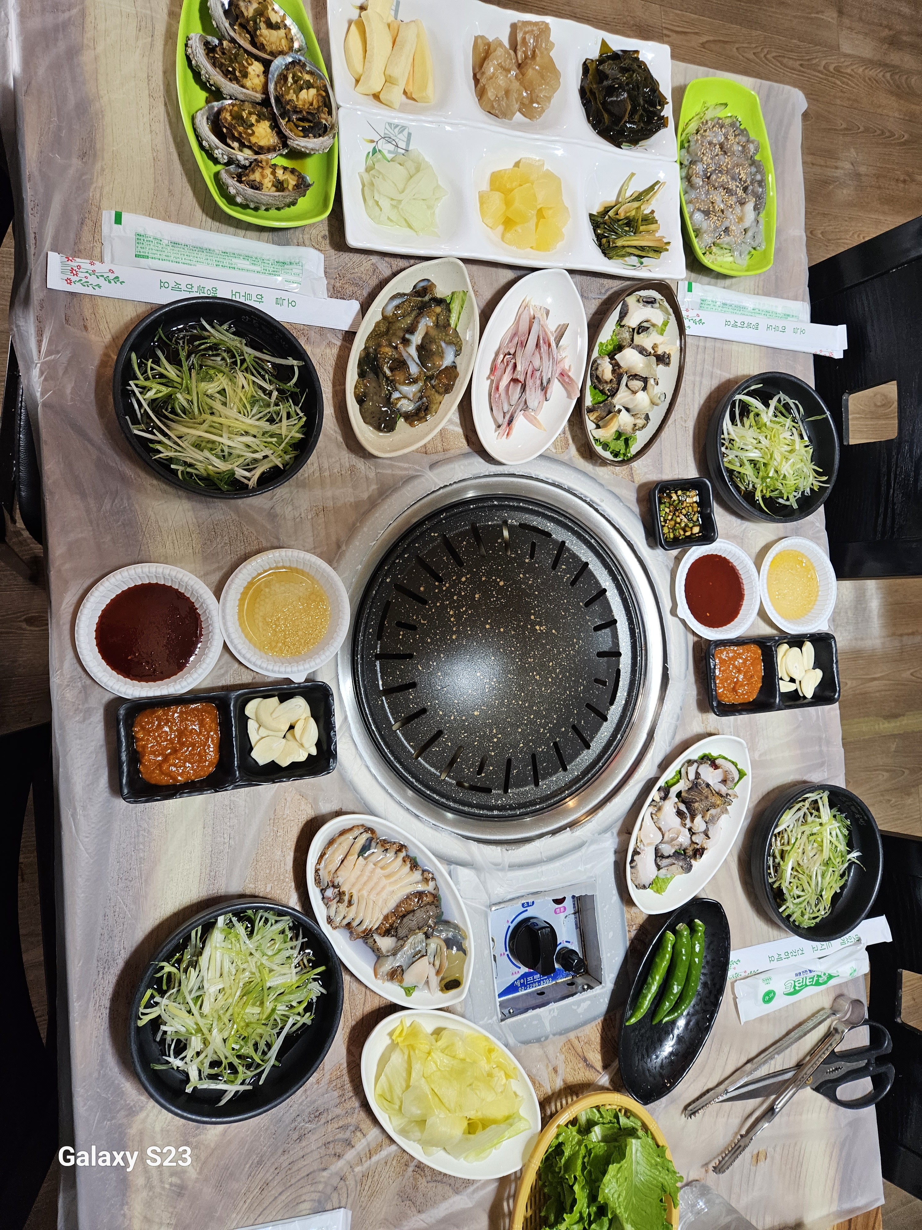 제주촌도야지