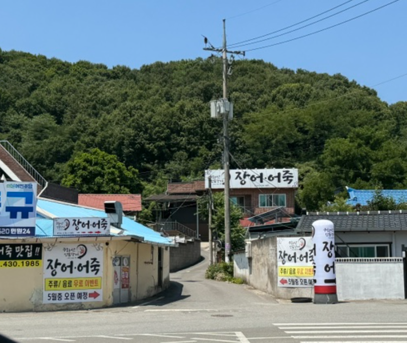 구화산민물장어