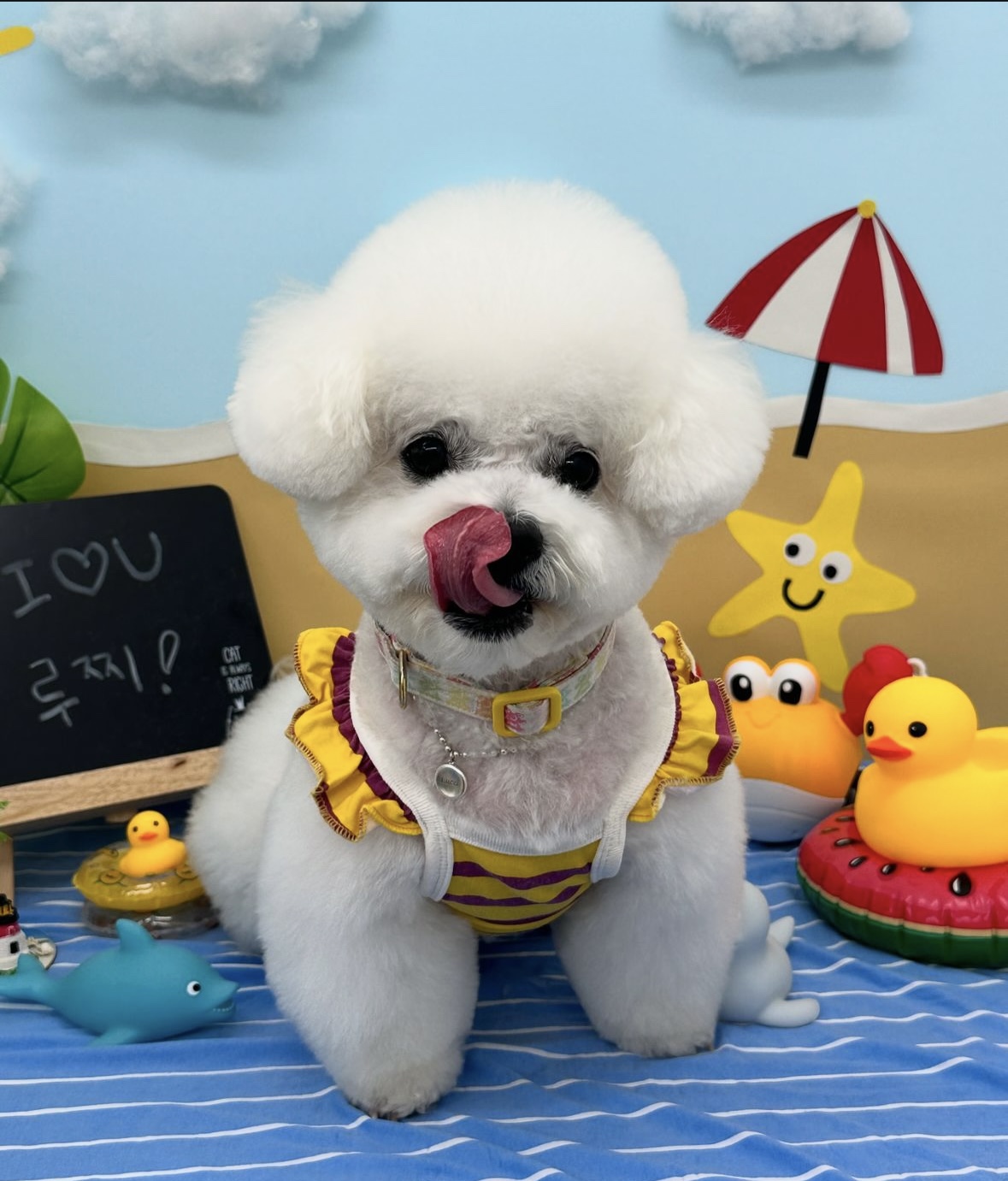 라이크잇