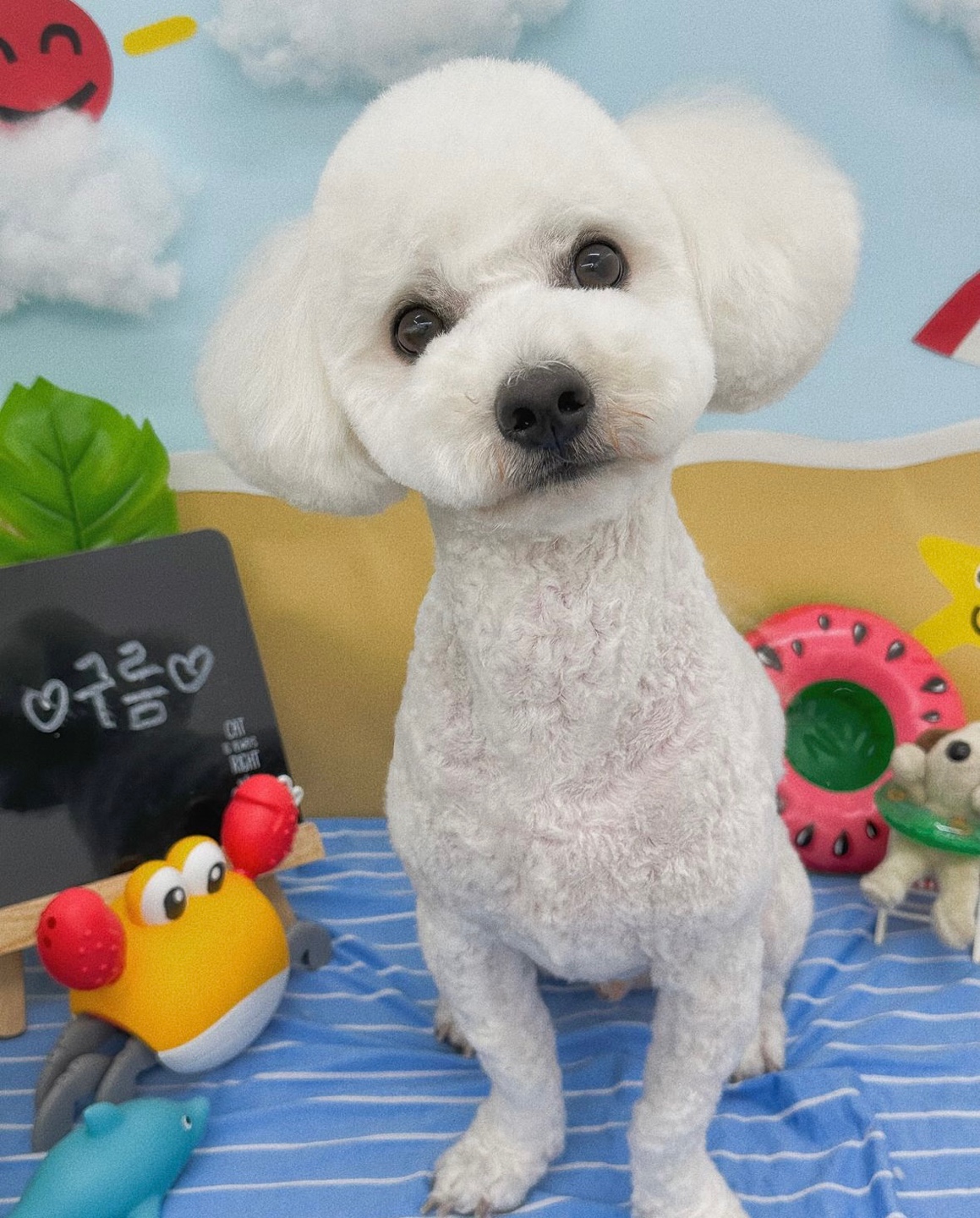 라이크잇
