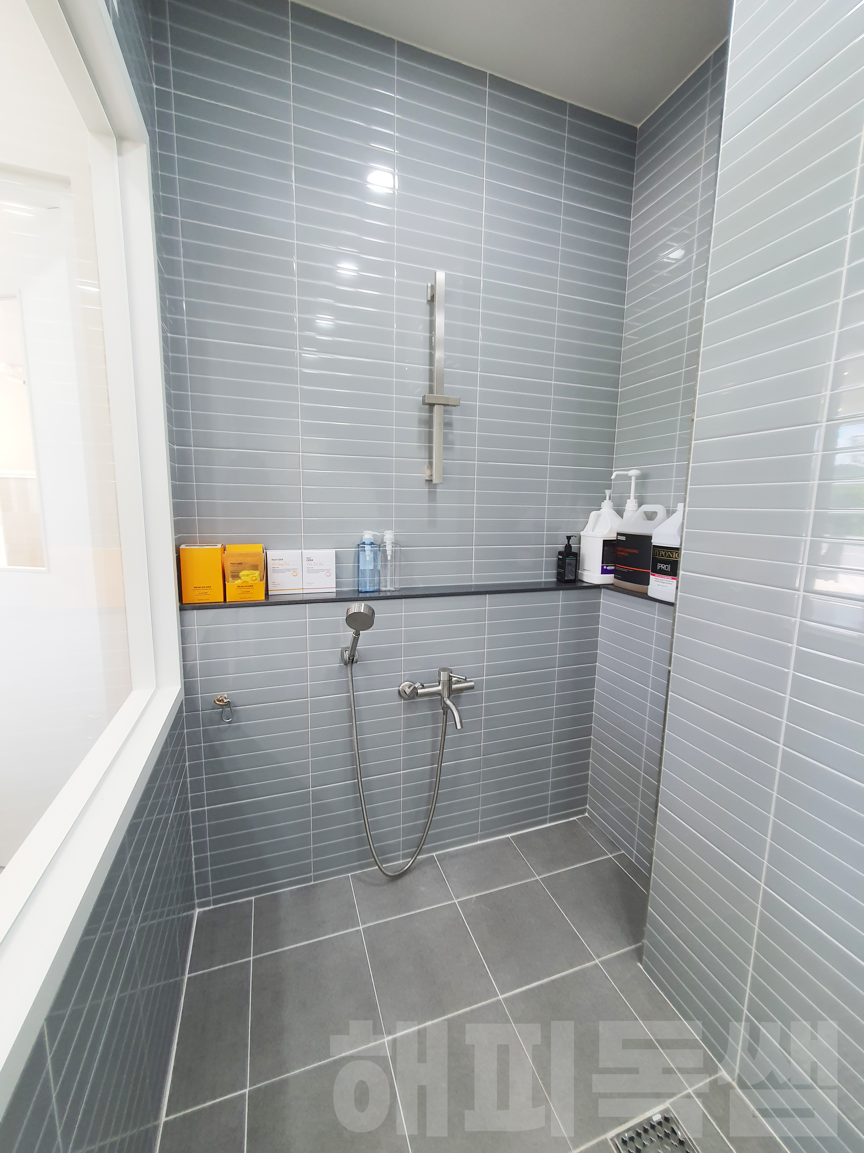 해피독쌤 대표 이미지