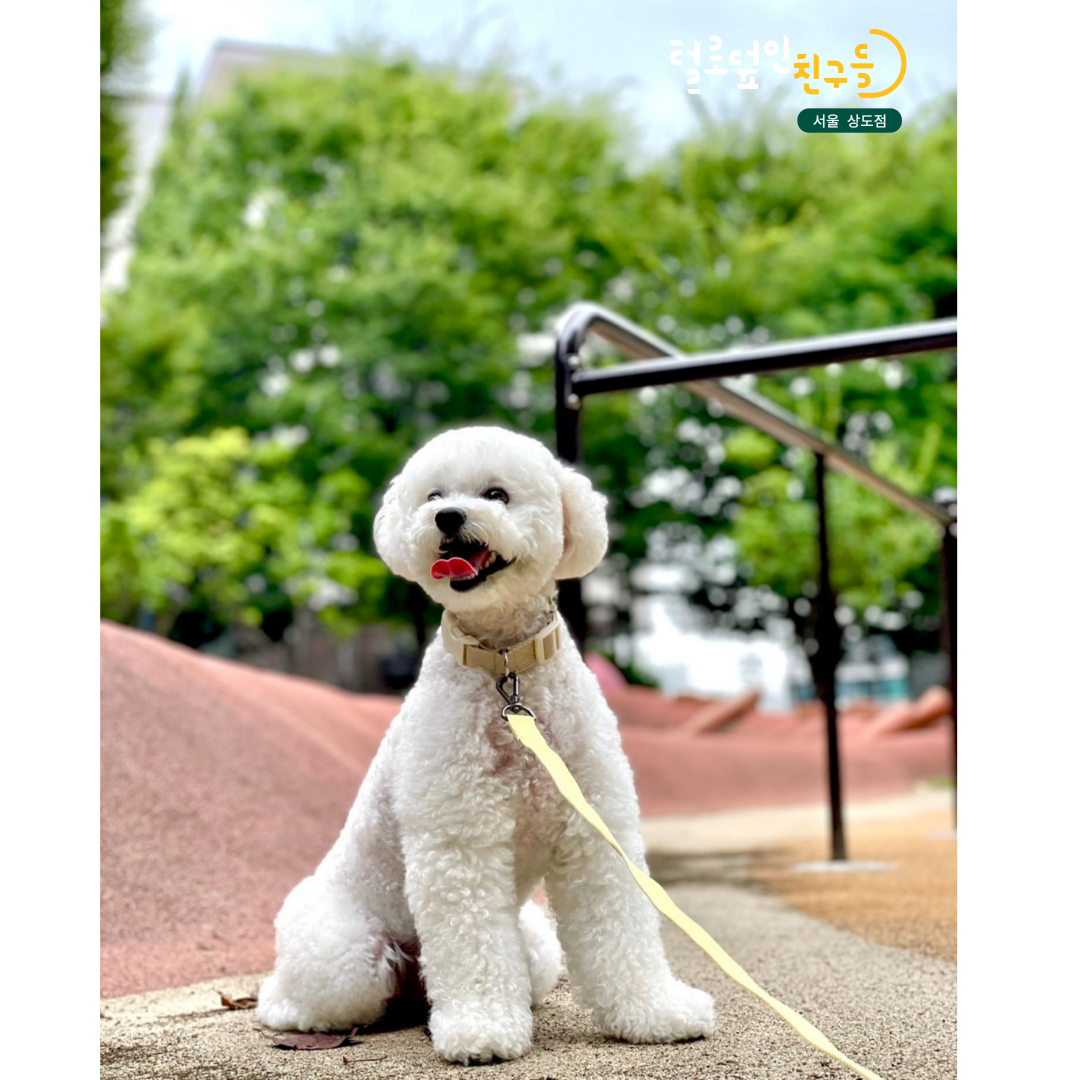 털로덮인친구들 대표 이미지