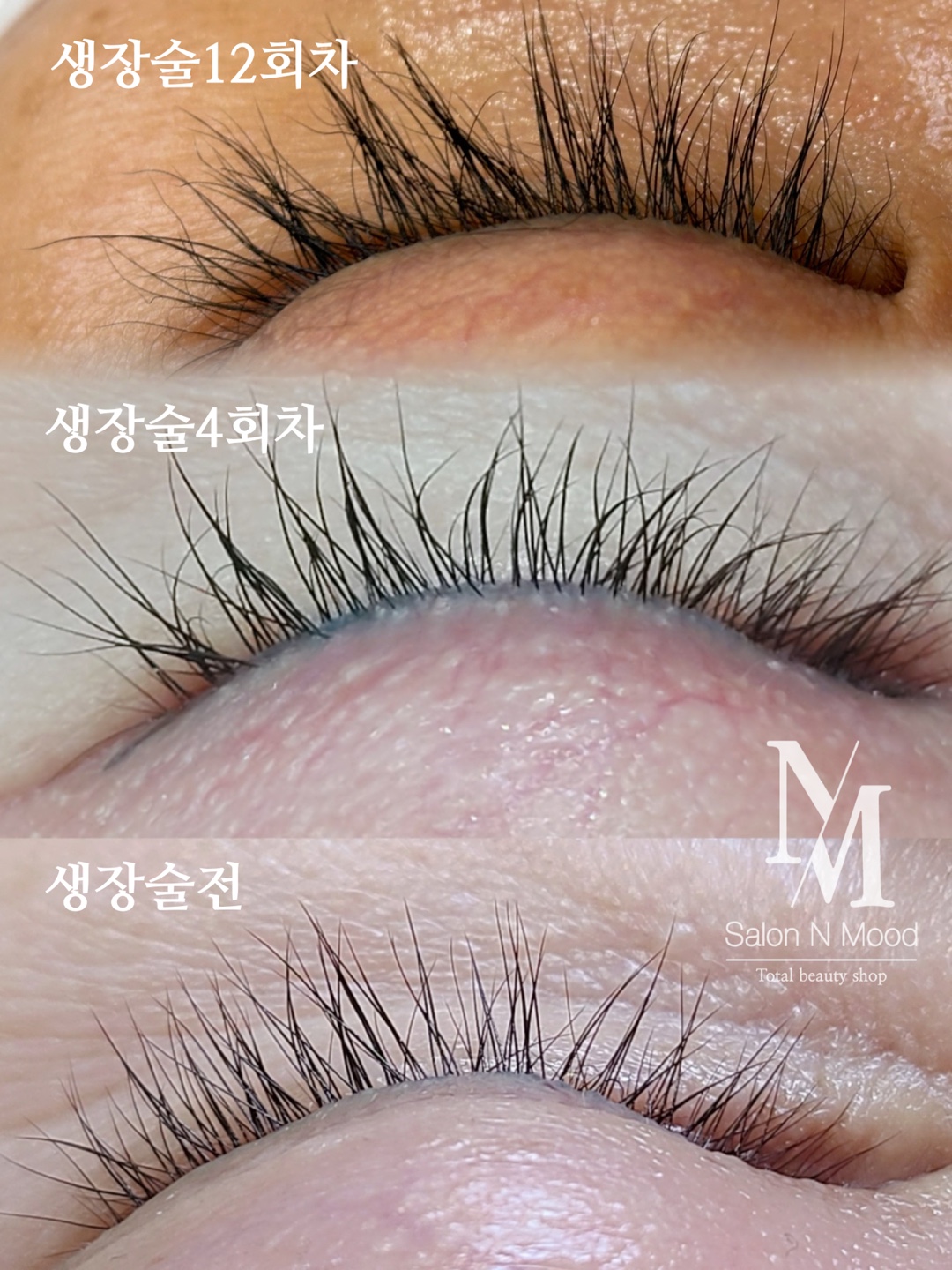 앤무드