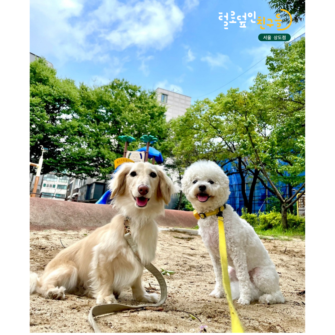 털로덮인친구들 서울상도점 대표 이미지