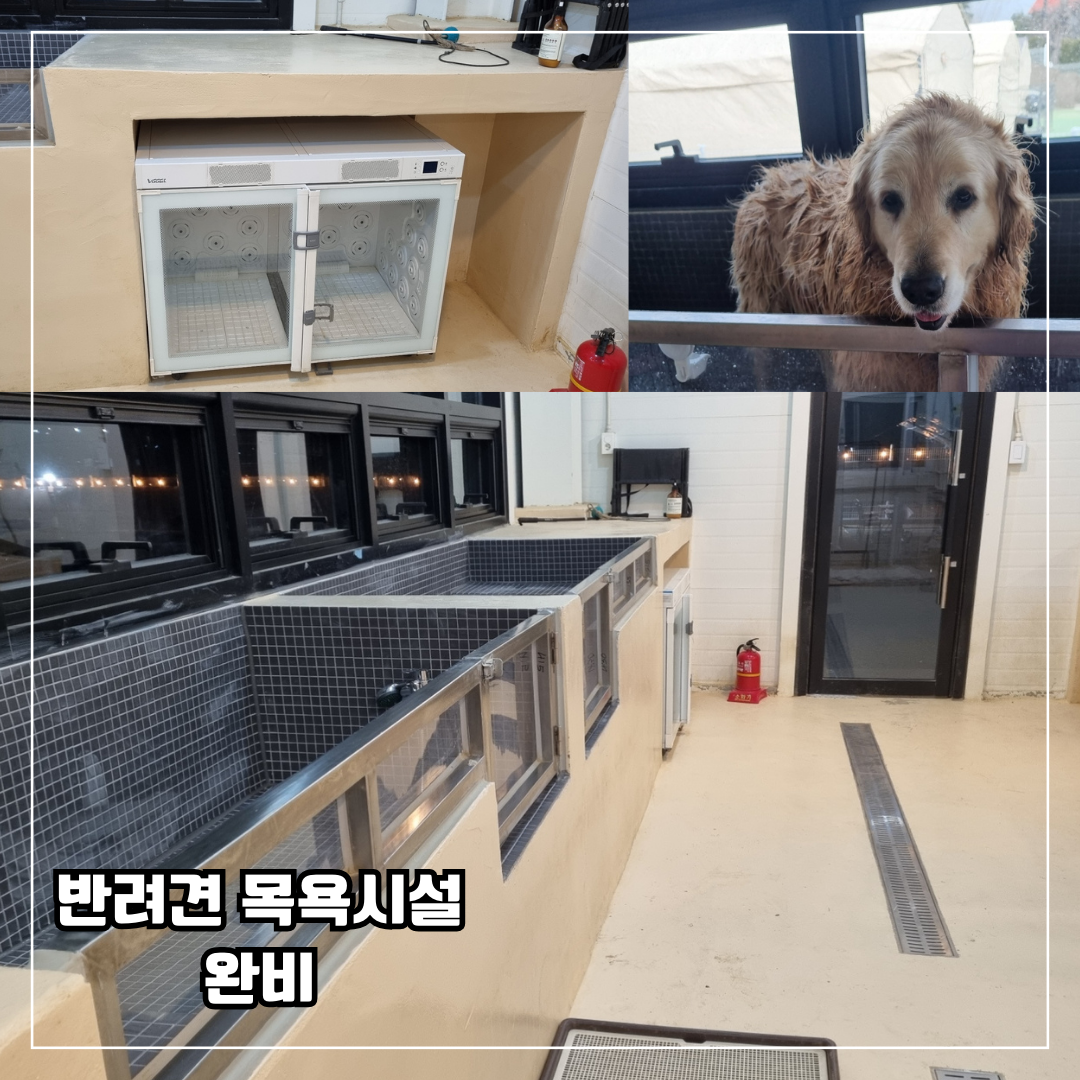 호운아 대표 이미지