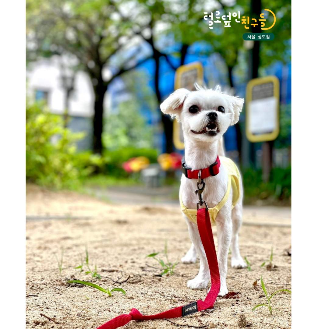 털로덮인친구들 서울상도점 대표 이미지