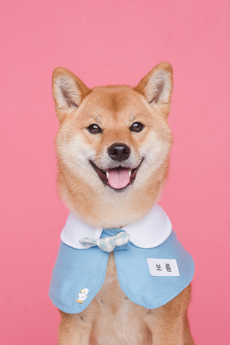 조아패밀리 스튜디오 광명점 대표 이미지